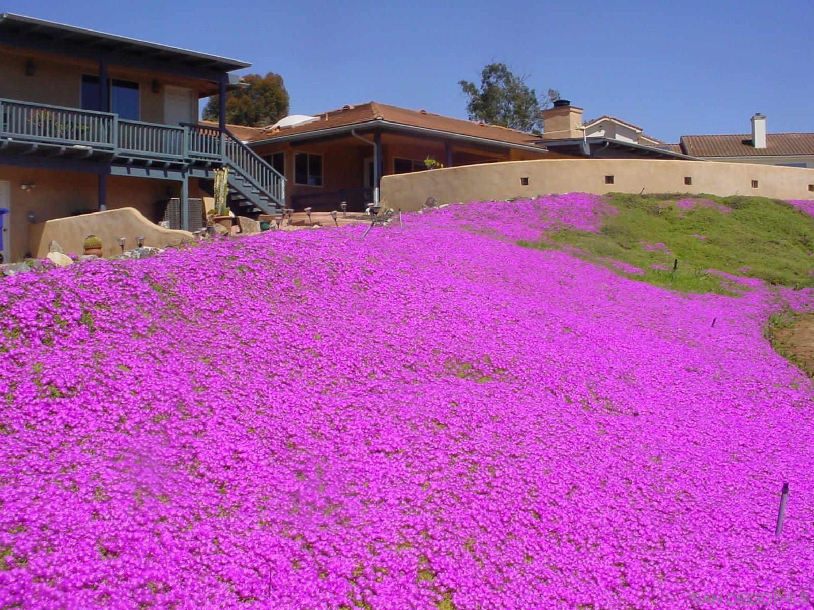 Detail Gallery Image 5 of 57 For 29737-39  Margale Ln, Vista,  CA 92084 - 5 Beds | 3/1 Baths