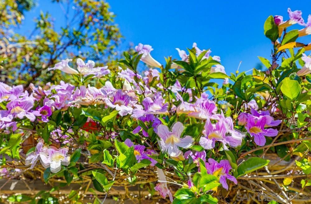 Detail Gallery Image 12 of 75 For 4335  Coronado Avenue, San Diego,  CA 92107 - 4 Beds | 3 Baths