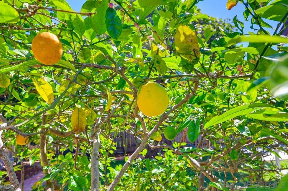 Detail Gallery Image 65 of 75 For 4335  Coronado Avenue, San Diego,  CA 92107 - 4 Beds | 3 Baths