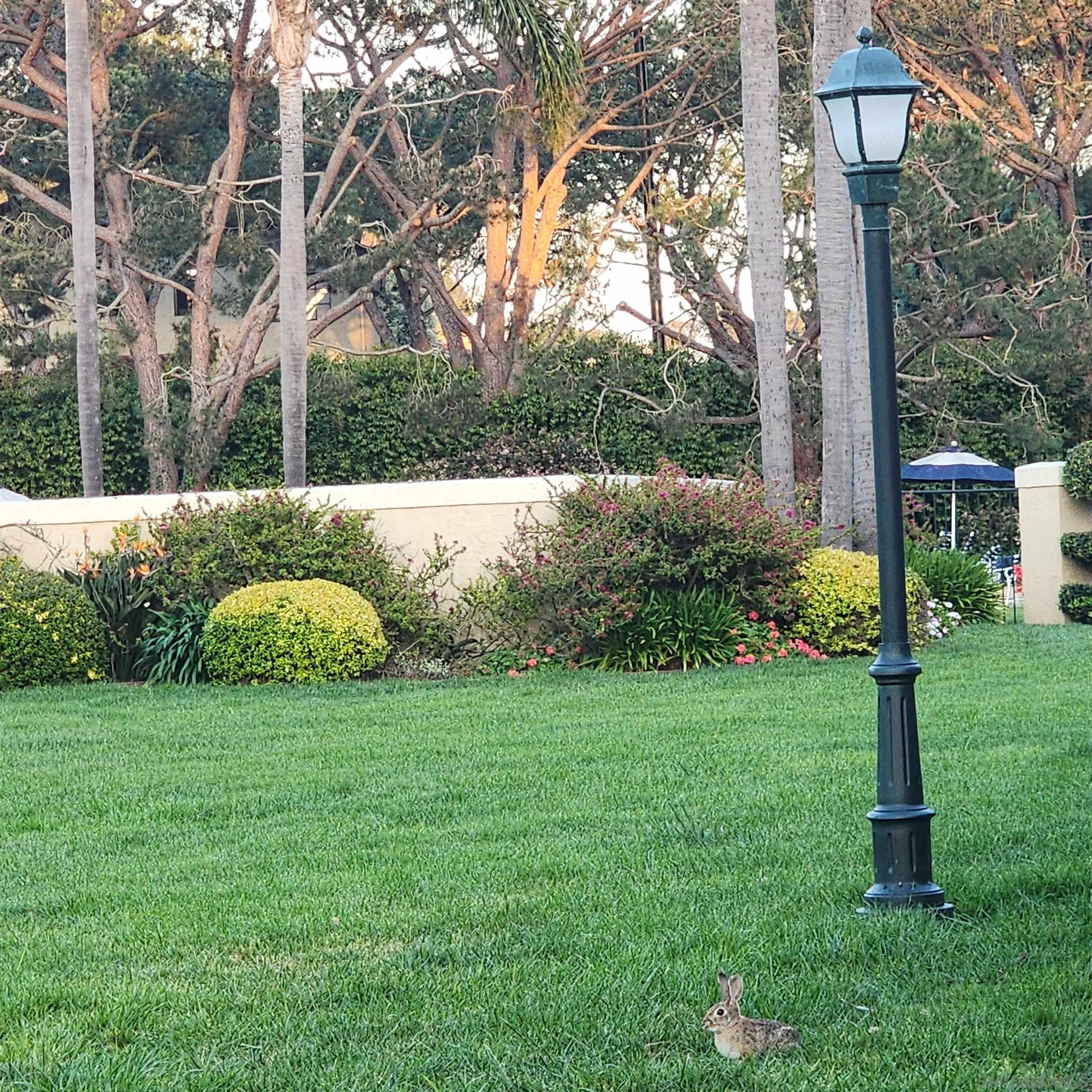 Detail Gallery Image 18 of 25 For 4050  Porte De Palmas  #26,  San Diego,  CA 92122 - 3 Beds | 2/1 Baths