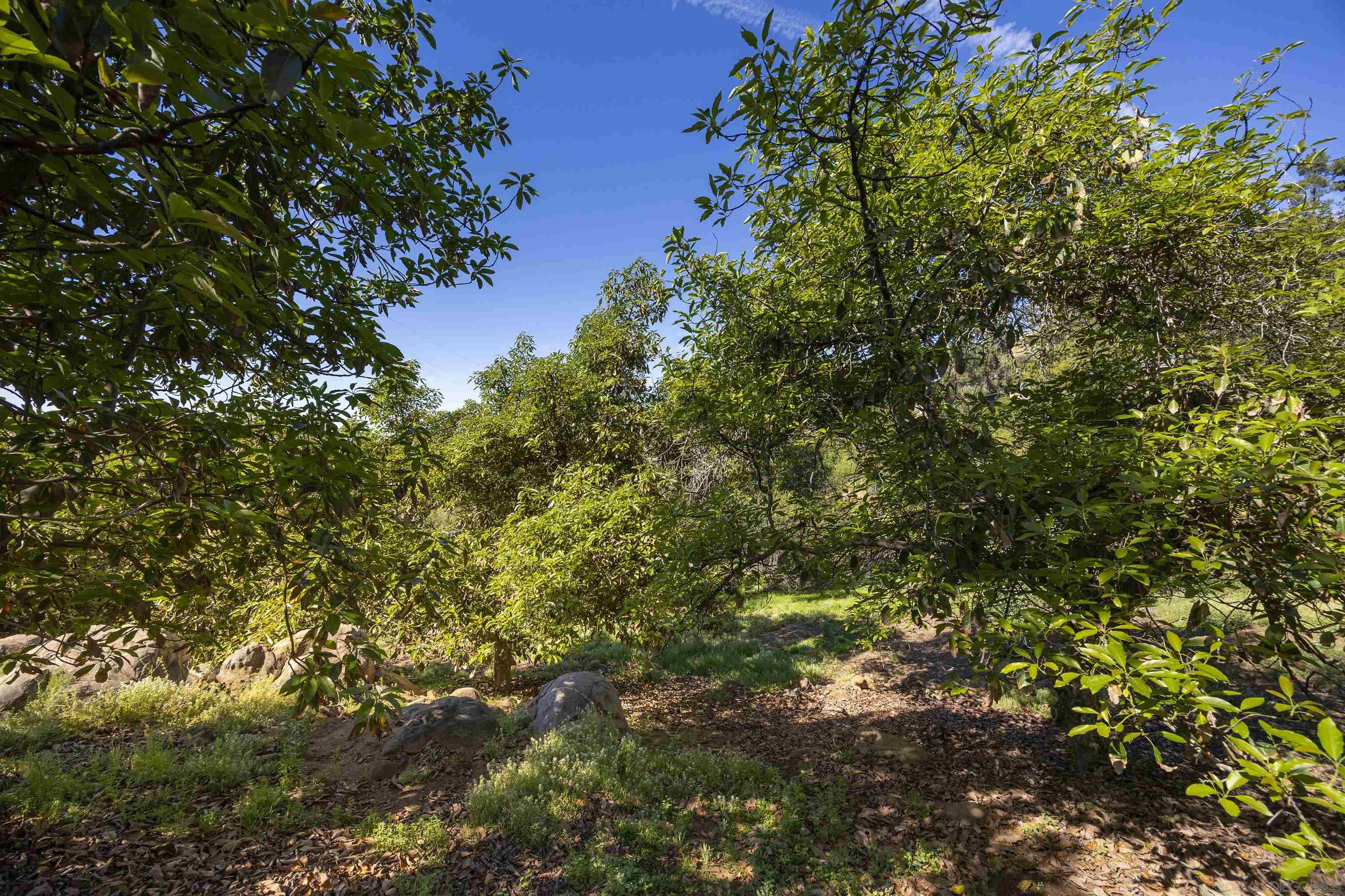 Detail Gallery Image 47 of 75 For 1820  Grove Road, El Cajon,  CA 92020 - 4 Beds | 3 Baths