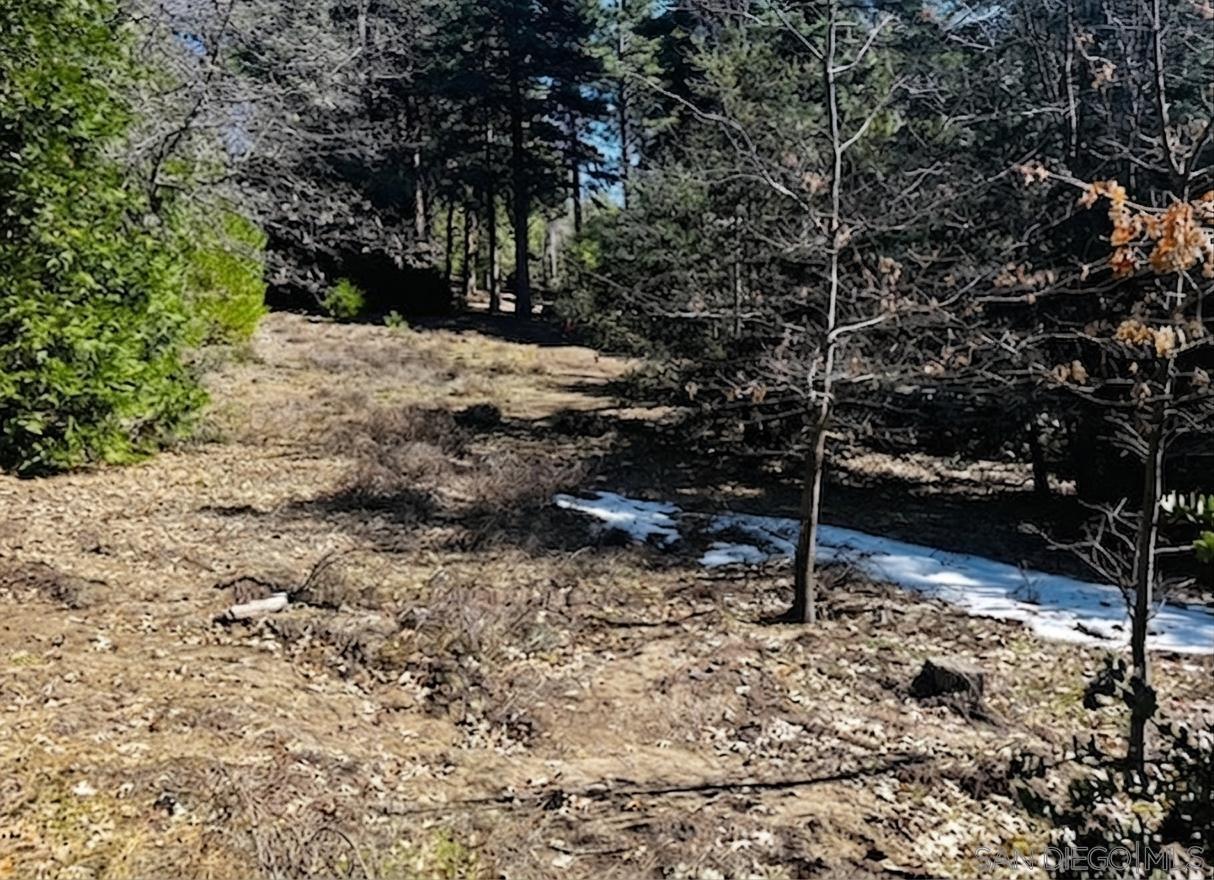 Detail Gallery Image 13 of 13 For , Idyllwild,  CA 92549 - – Beds | – Baths