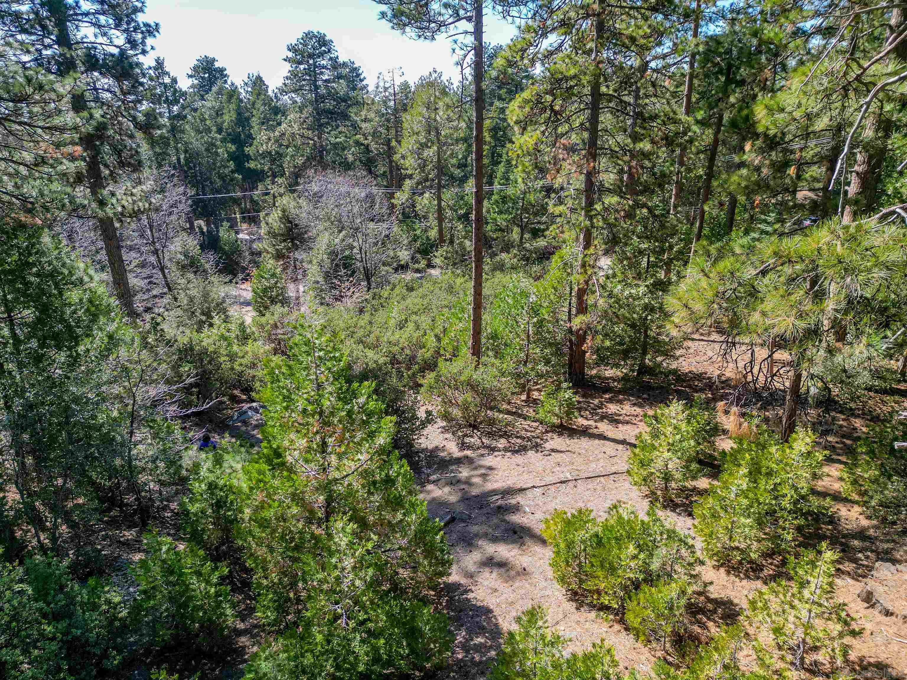 Detail Gallery Image 4 of 7 For , Idyllwild,  CA 92549 - – Beds | – Baths