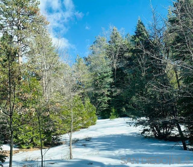 Detail Gallery Image 8 of 13 For , Idyllwild,  CA 92549 - – Beds | – Baths