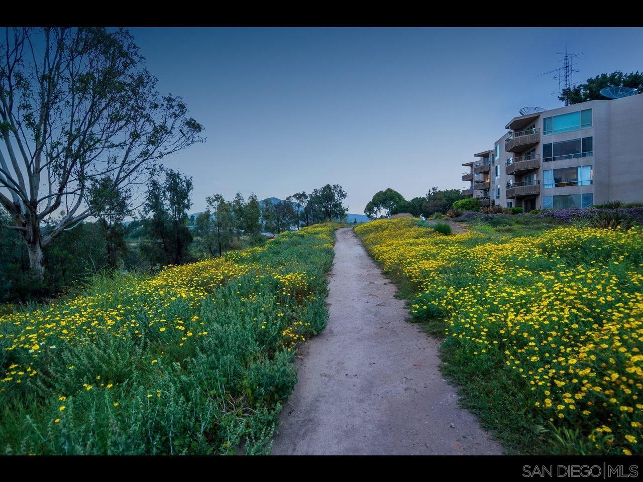 Detail Gallery Image 21 of 22 For 5714  Baltimore  501, La Mesa,  CA 91942 - 1 Beds | 1 Baths