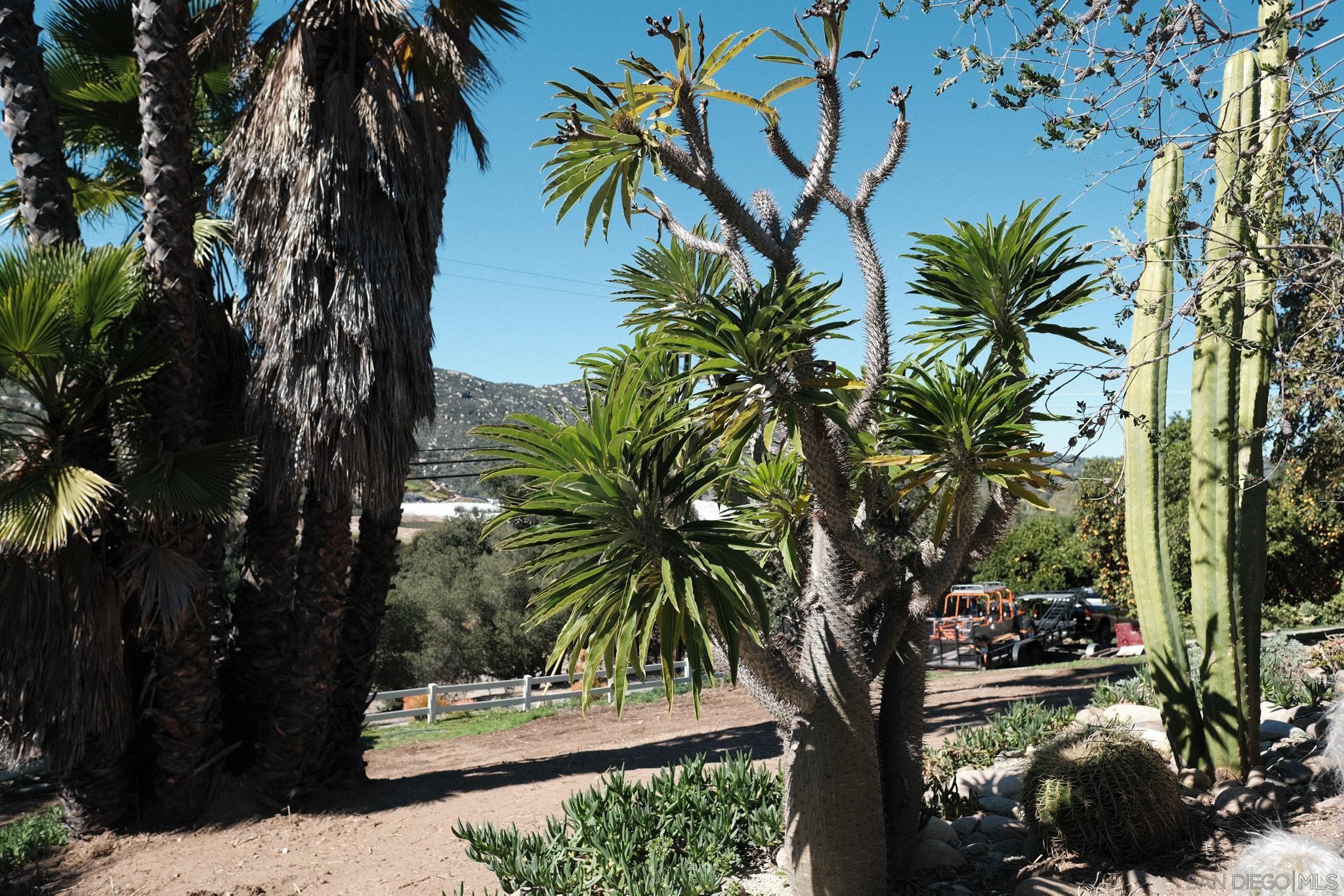 Detail Gallery Image 31 of 42 For 26327 N Broadway, Escondido,  CA 92026 - 3 Beds | 2 Baths