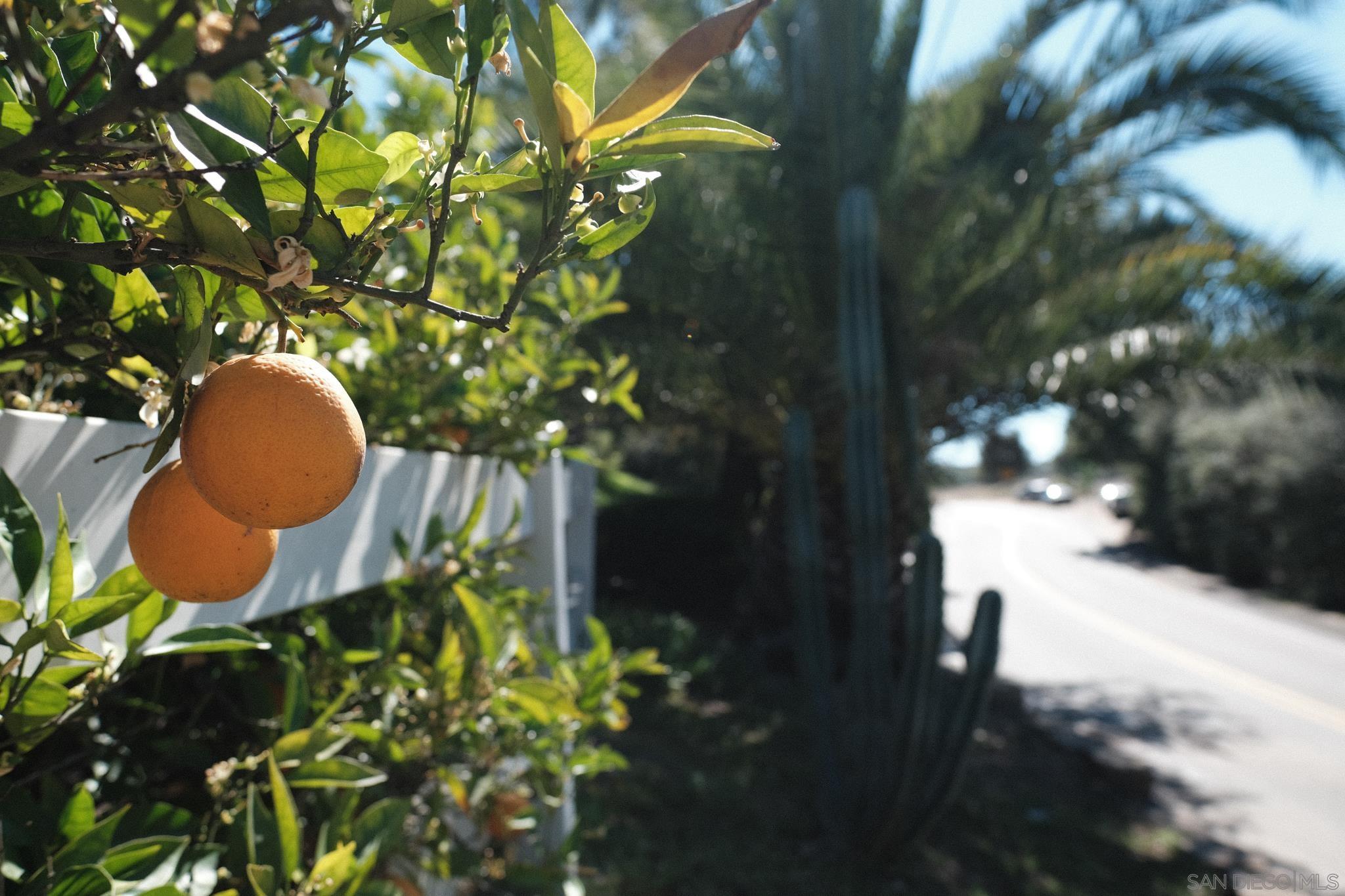 Detail Gallery Image 32 of 42 For 26327 N Broadway, Escondido,  CA 92026 - 3 Beds | 2 Baths