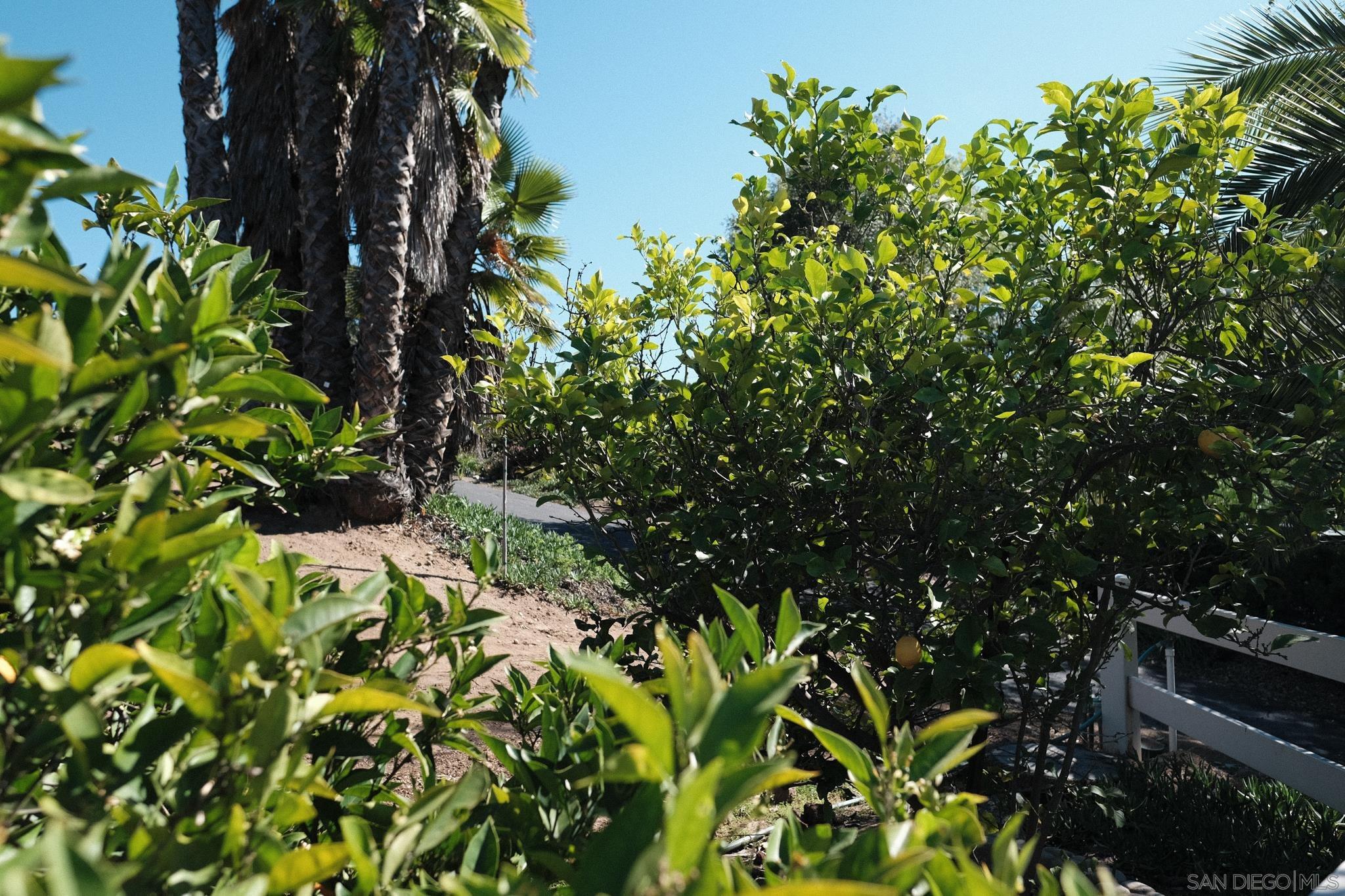 Detail Gallery Image 33 of 42 For 26327 N Broadway, Escondido,  CA 92026 - 3 Beds | 2 Baths