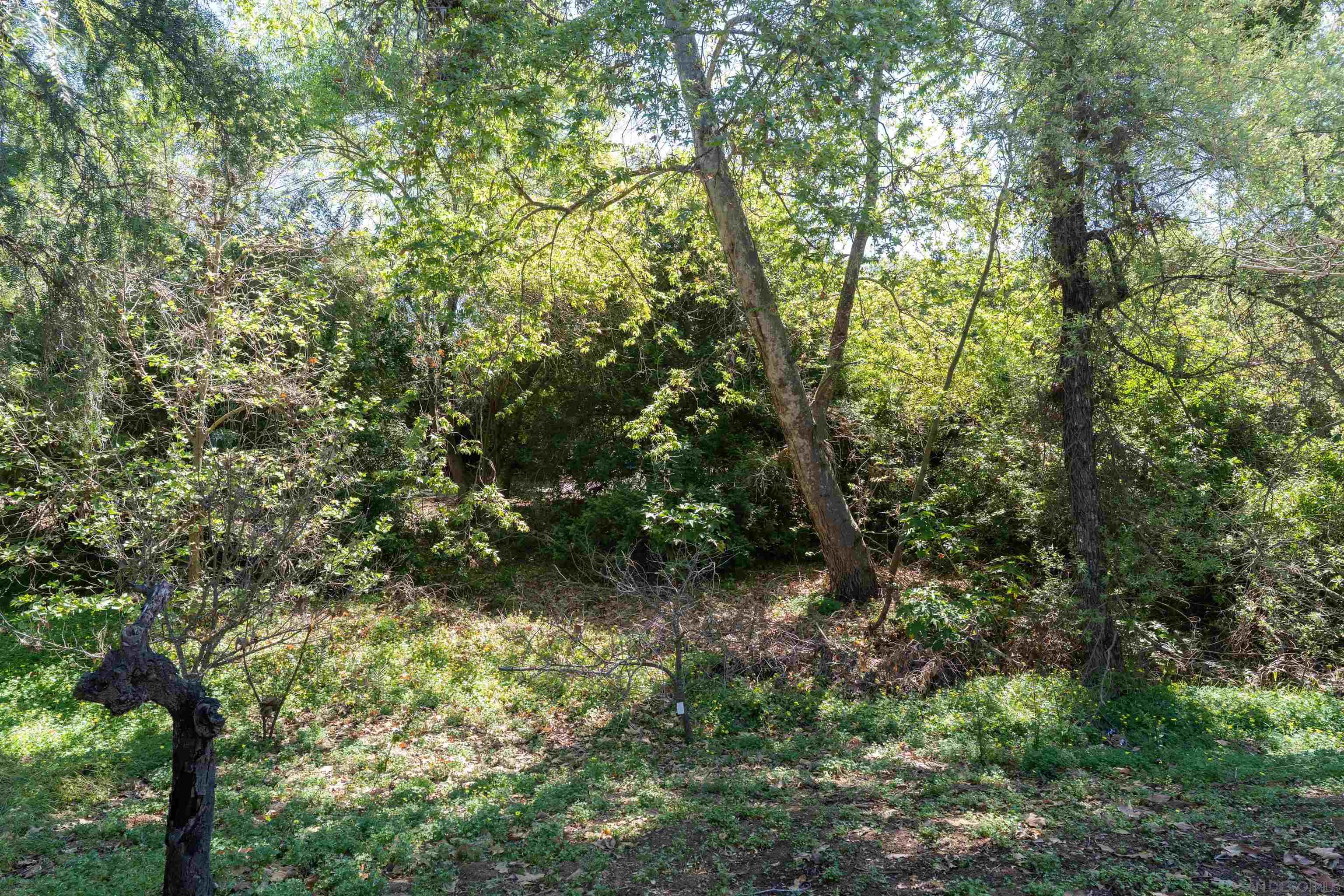 Detail Gallery Image 18 of 37 For 1027  Pepper Tree Lane, Fallbrook,  CA 92028 - 3 Beds | 2 Baths