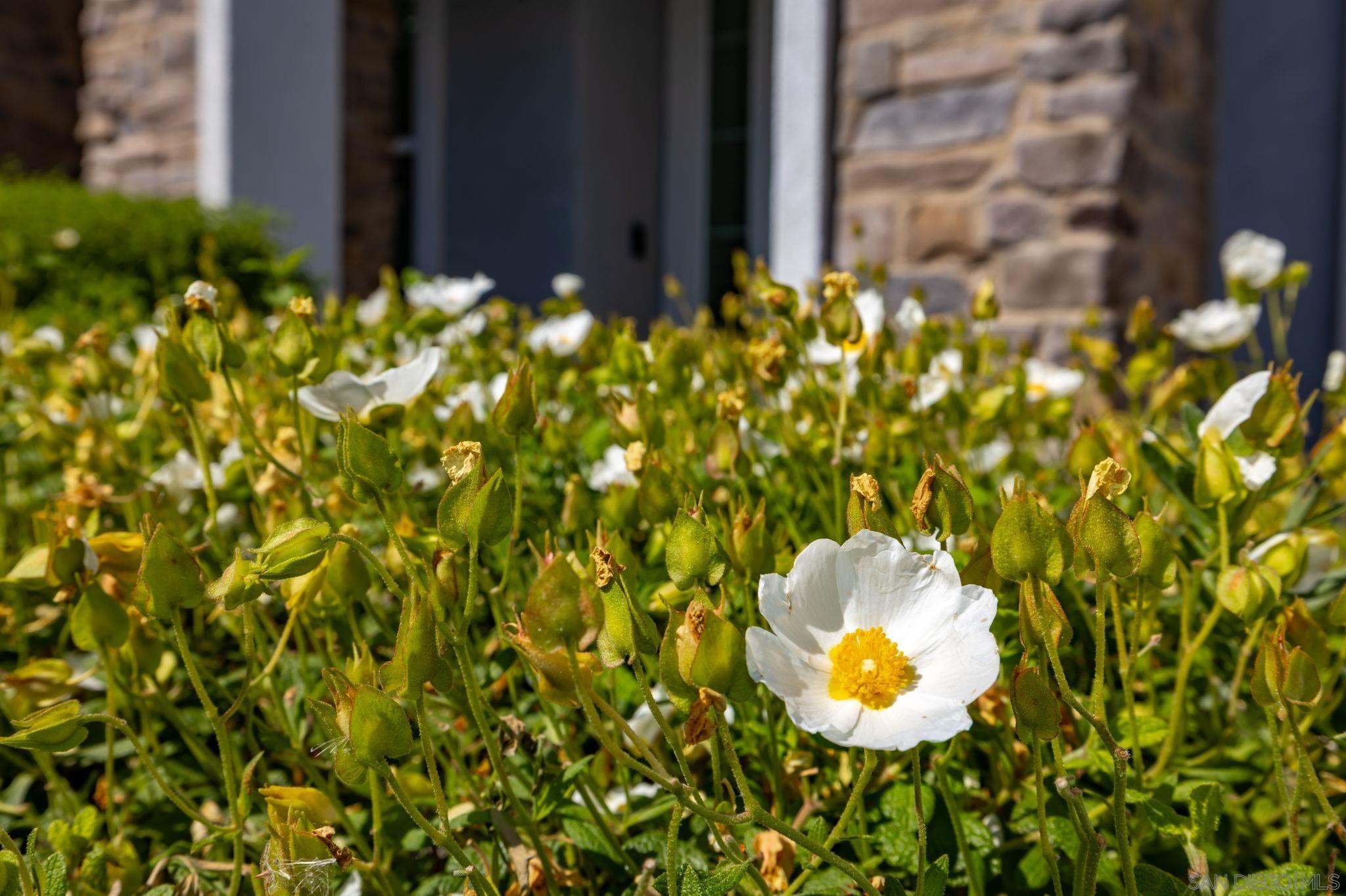 Detail Gallery Image 39 of 63 For 3029  via De Todos Santos, Fallbrook,  CA 92028 - 4 Beds | 3 Baths