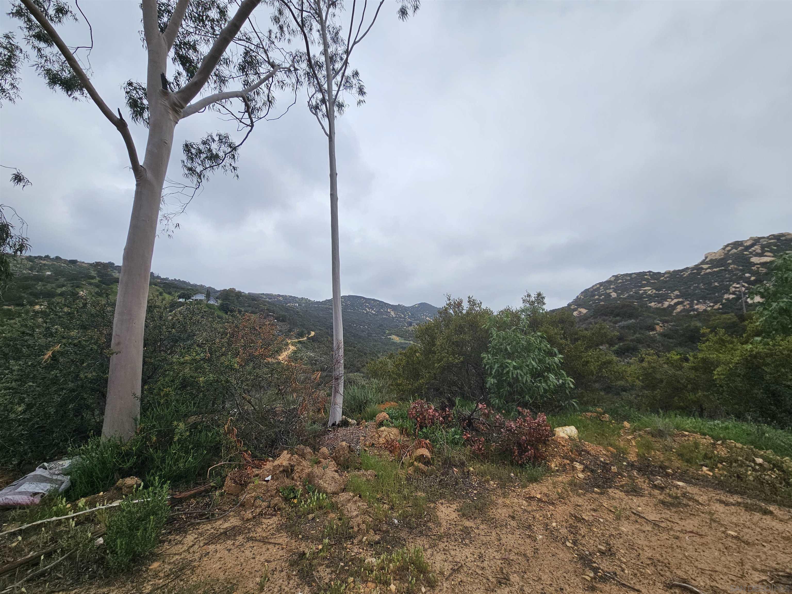 Detail Gallery Image 12 of 36 For , Fallbrook,  CA 92028 - – Beds | – Baths