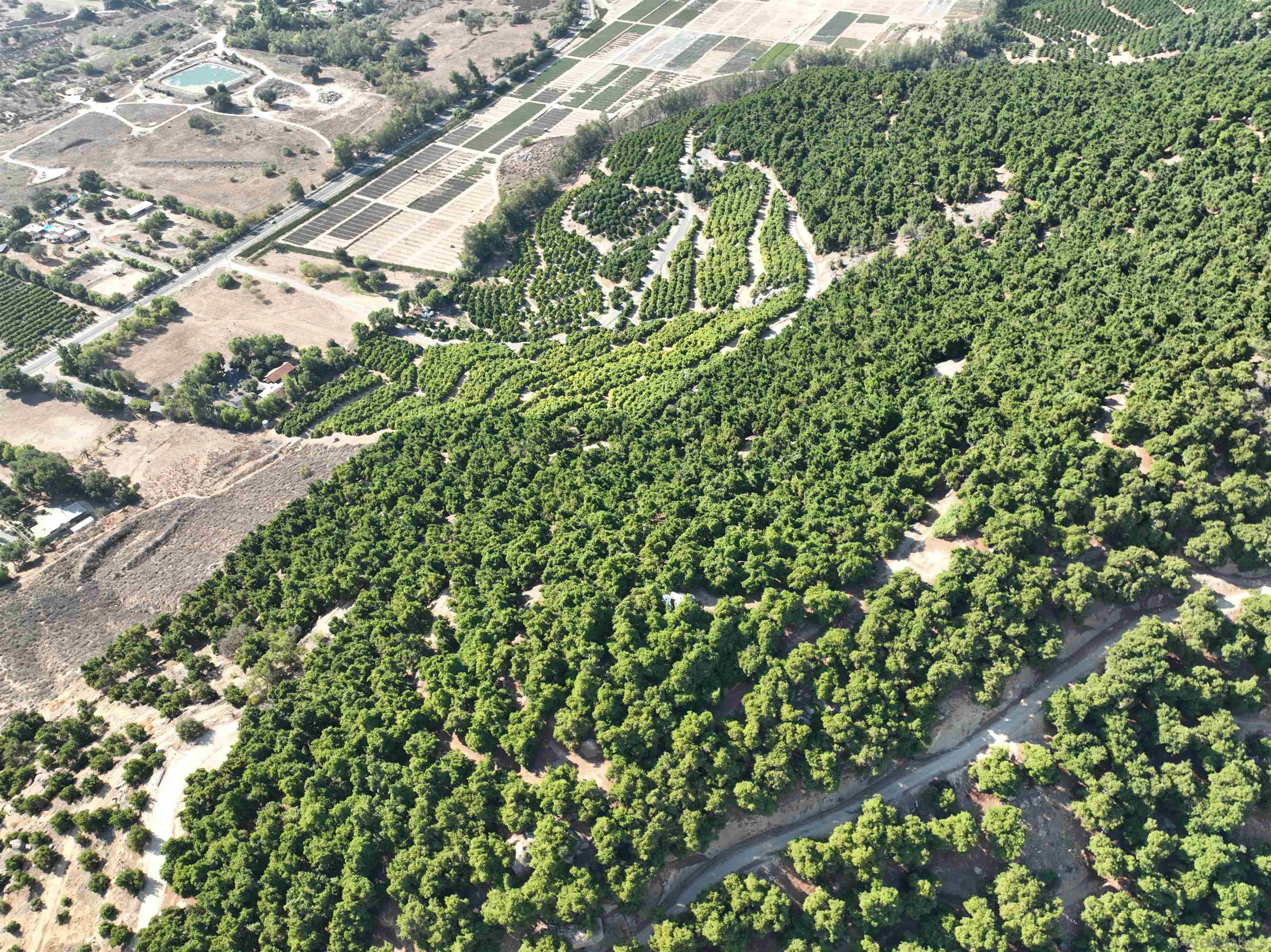 Front Image Thumbnail for SD260007186