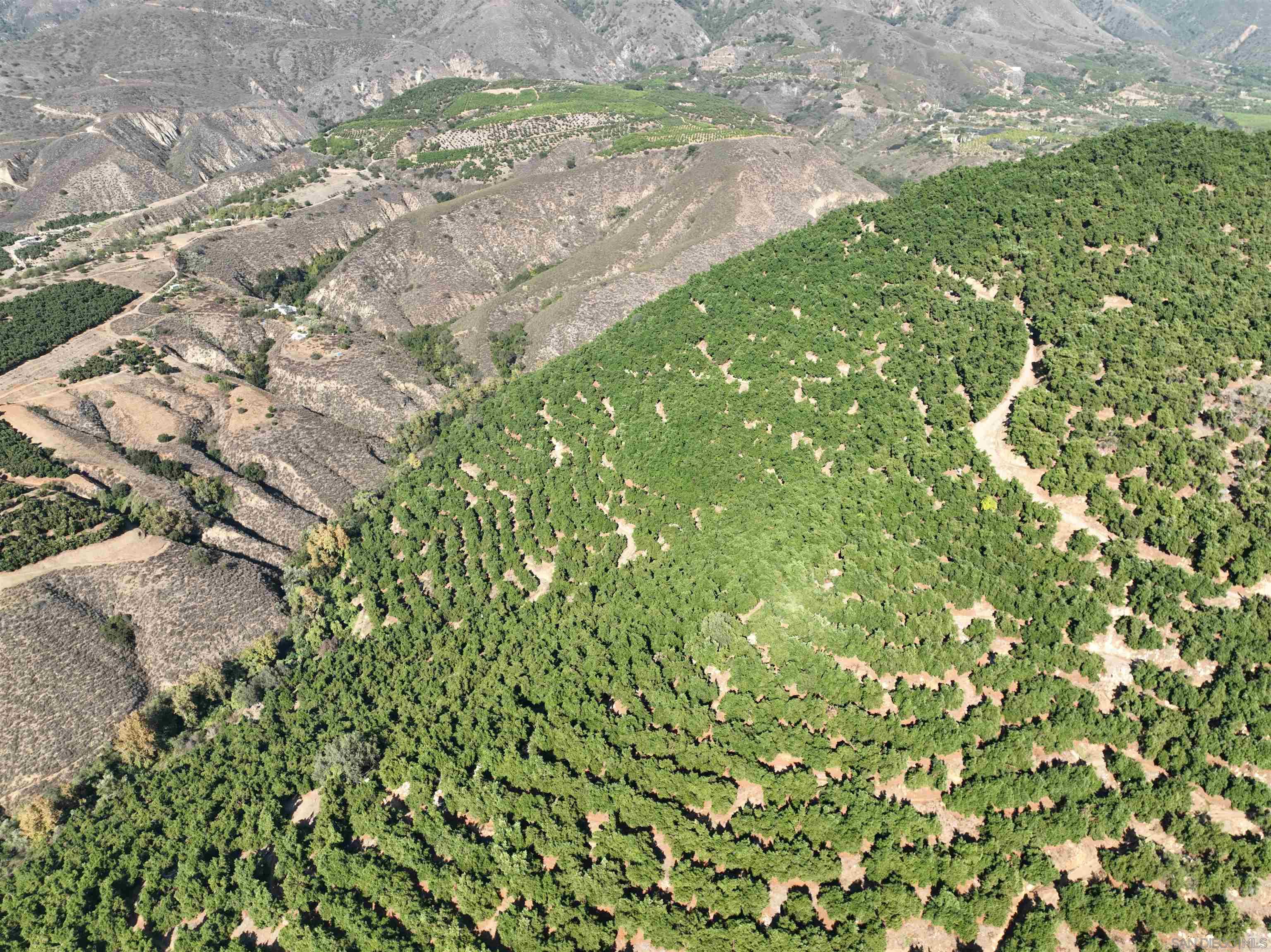 Detail Gallery Image 4 of 10 For , Pauma Valley,  CA 92061 - – Beds | – Baths