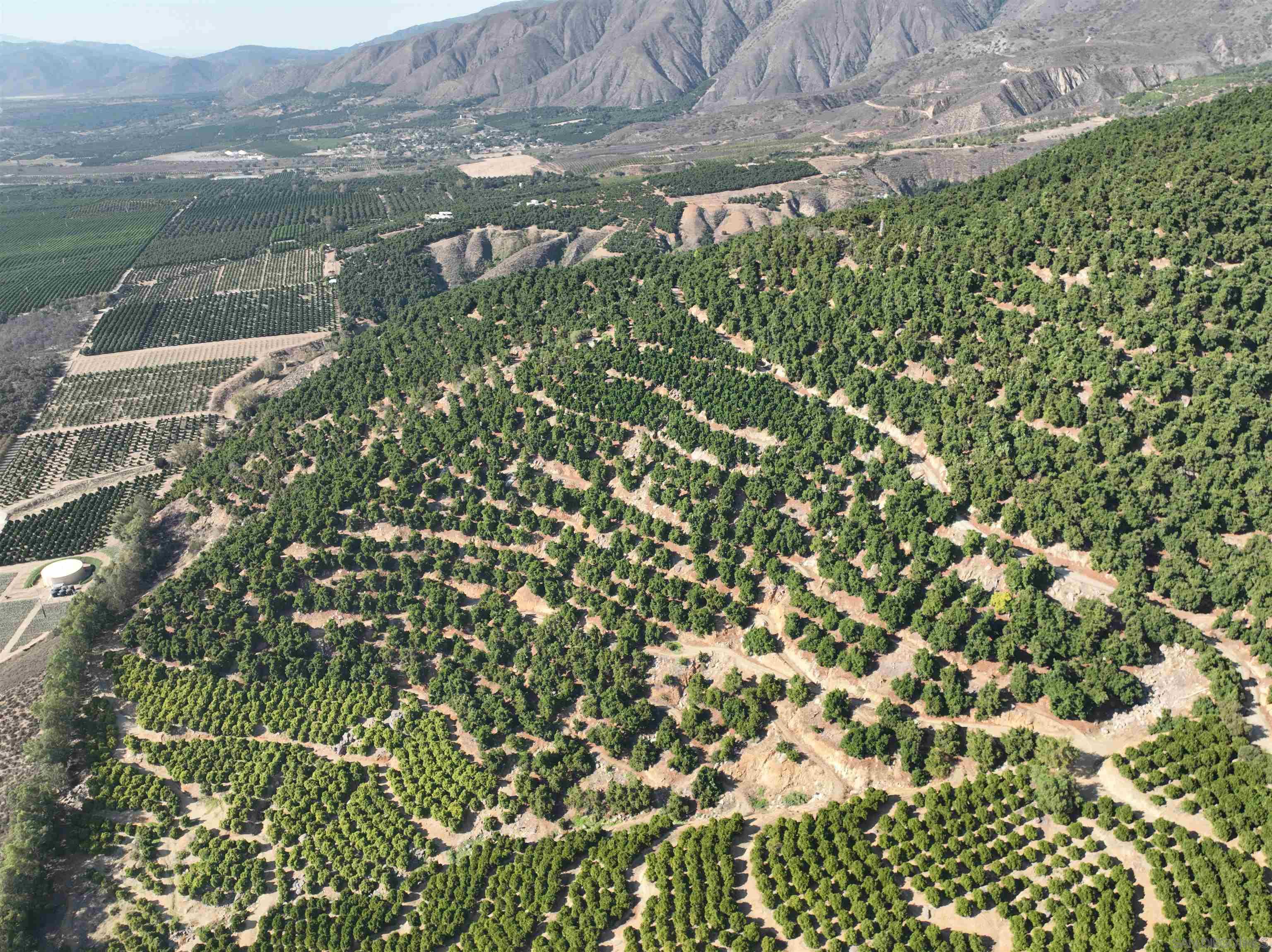 Detail Gallery Image 5 of 10 For , Pauma Valley,  CA 92061 - – Beds | – Baths