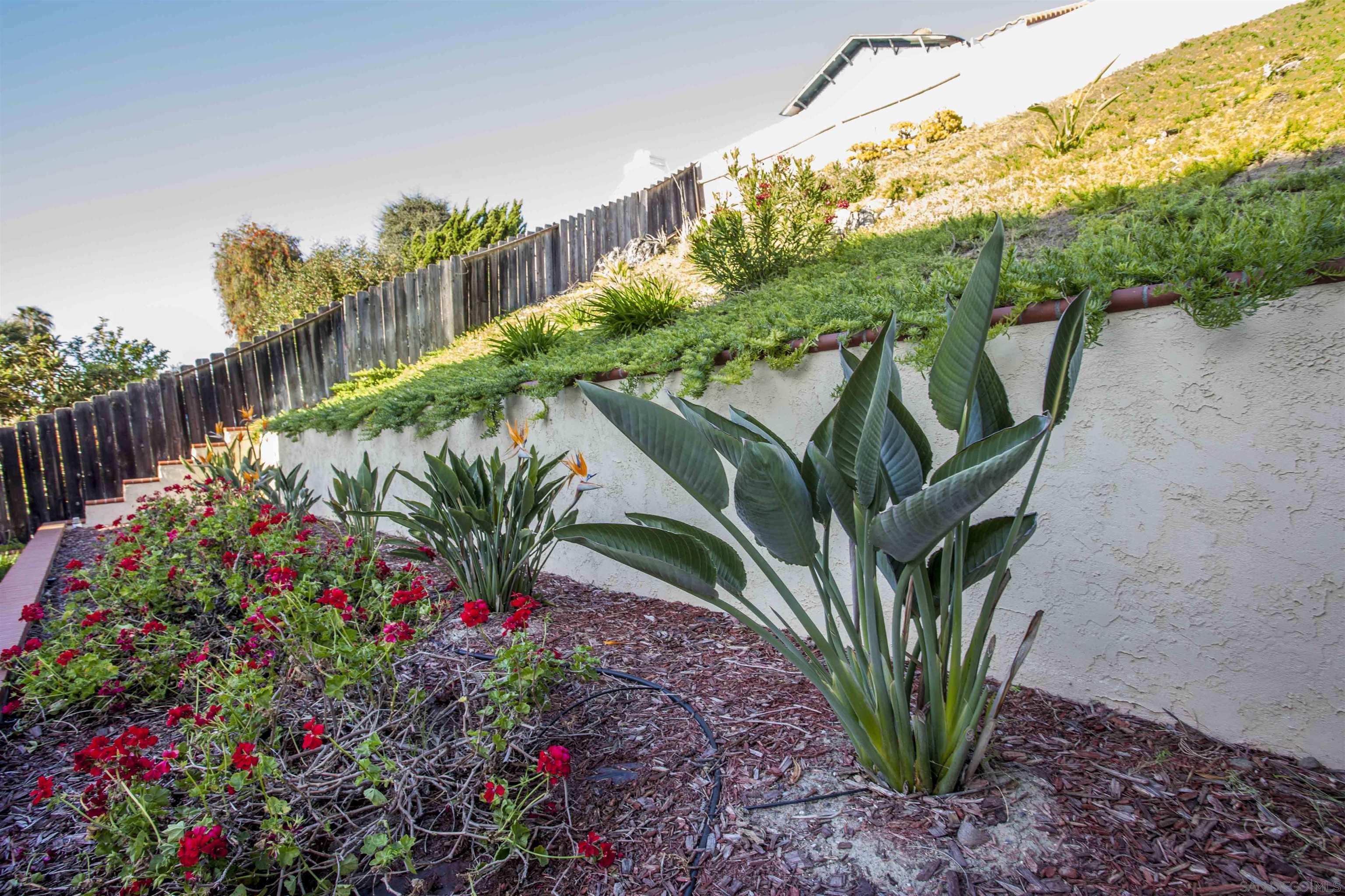 Detail Gallery Image 43 of 56 For 13449  Appalachian, San Diego,  CA 92129 - 5 Beds | 2/1 Baths