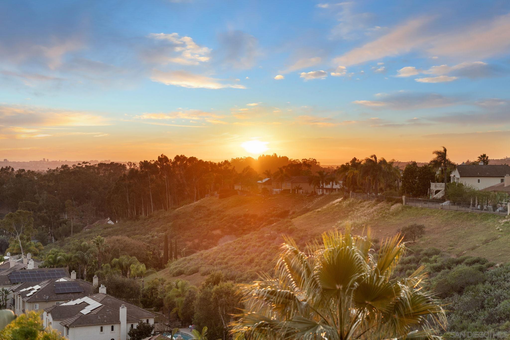 Detail Gallery Image 17 of 33 For 10776  Birch Bluff Ave, San Diego,  CA 92131 - 5 Beds | 3/1 Baths