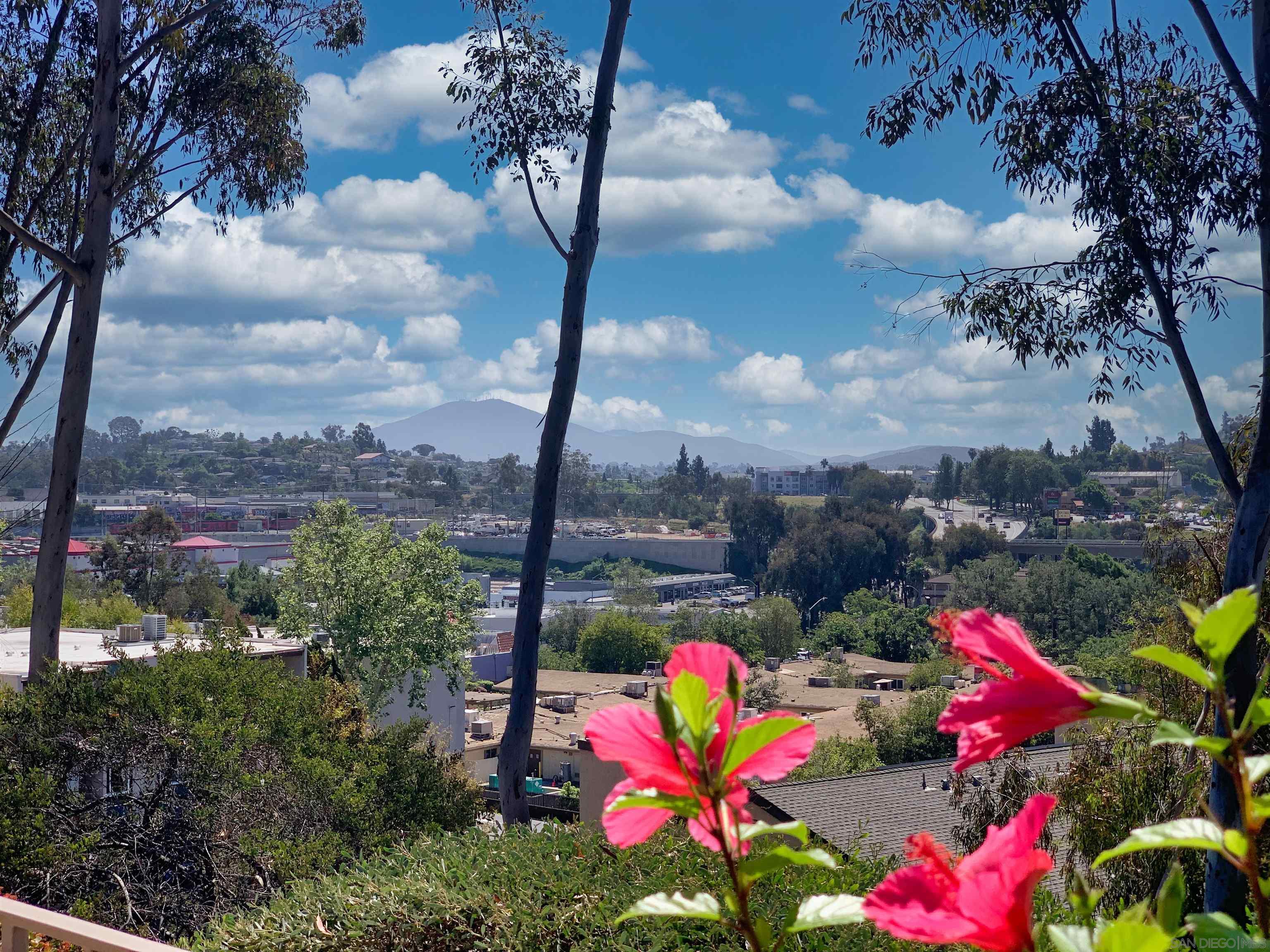 Front Image Thumbnail for SD260007242