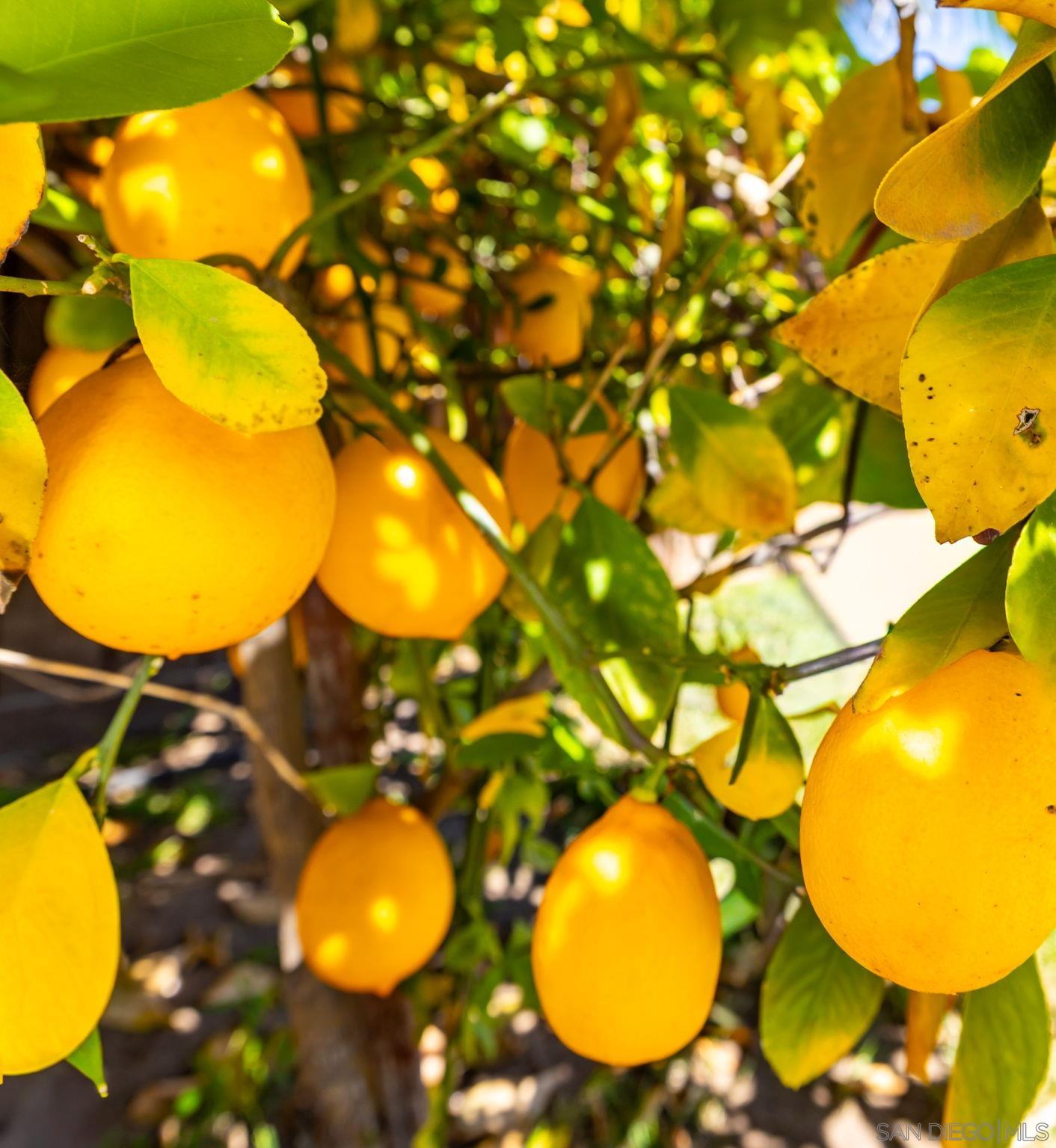 Detail Gallery Image 37 of 44 For 26659  Cactus Creek Way, Sun City,  CA 92586 - 4 Beds | 2/1 Baths