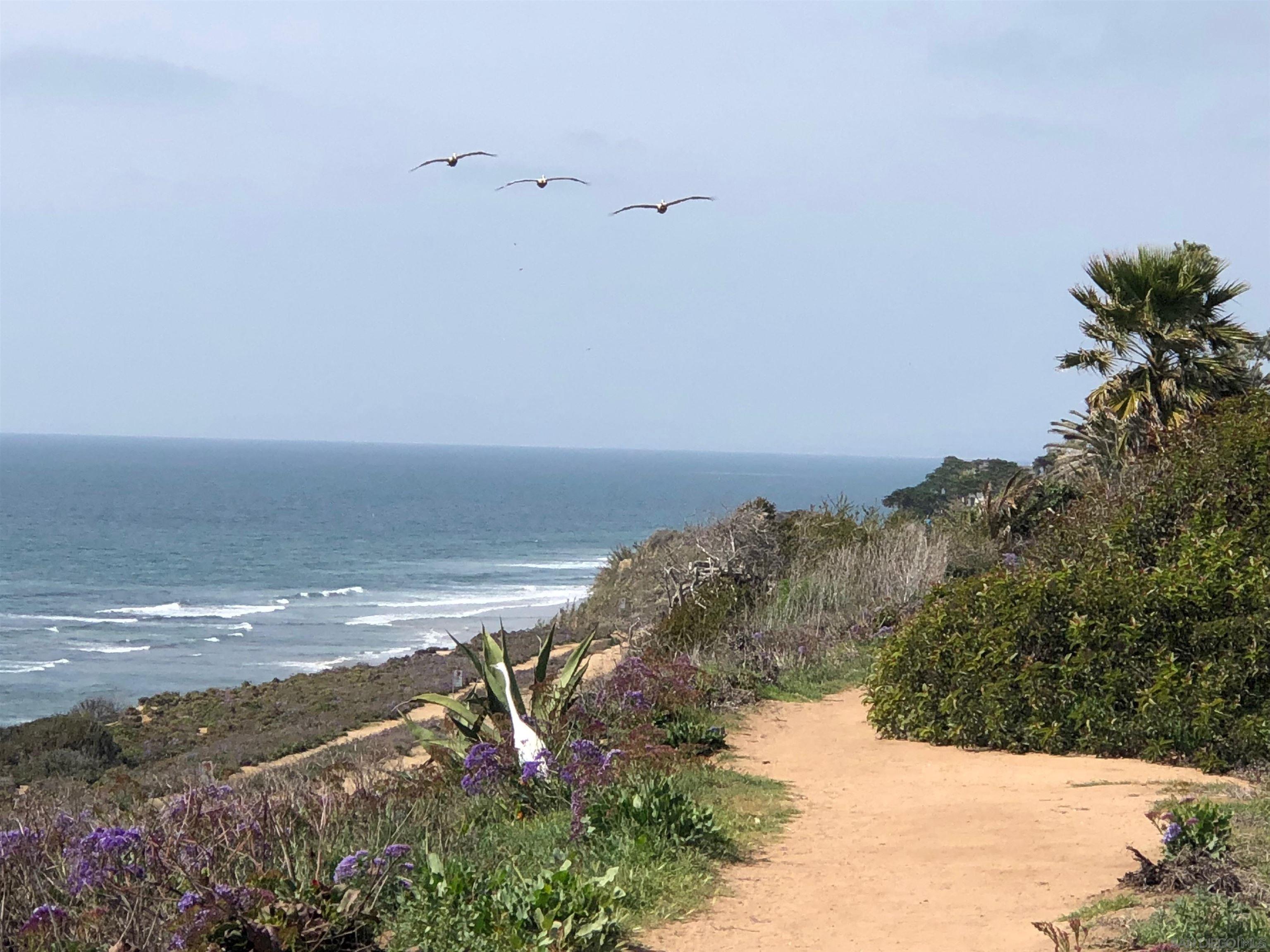 Detail Gallery Image 38 of 44 For 238  Dolphin Cove Ct, Del Mar,  CA 92014 - 2 Beds | 2 Baths