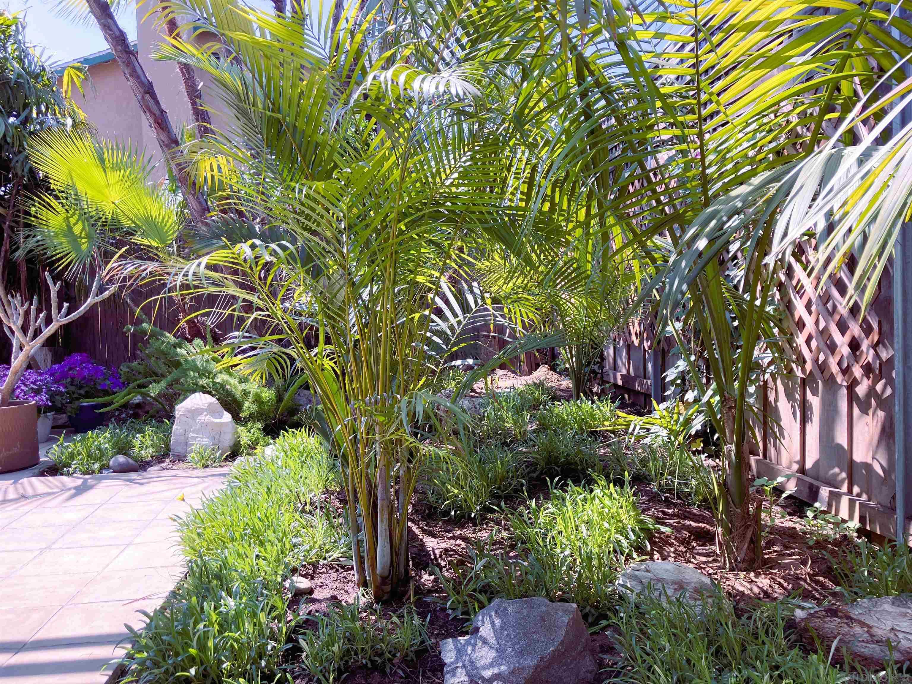 Detail Gallery Image 4 of 21 For , San Diego,  CA 92117 - 3 Beds | 2 Baths