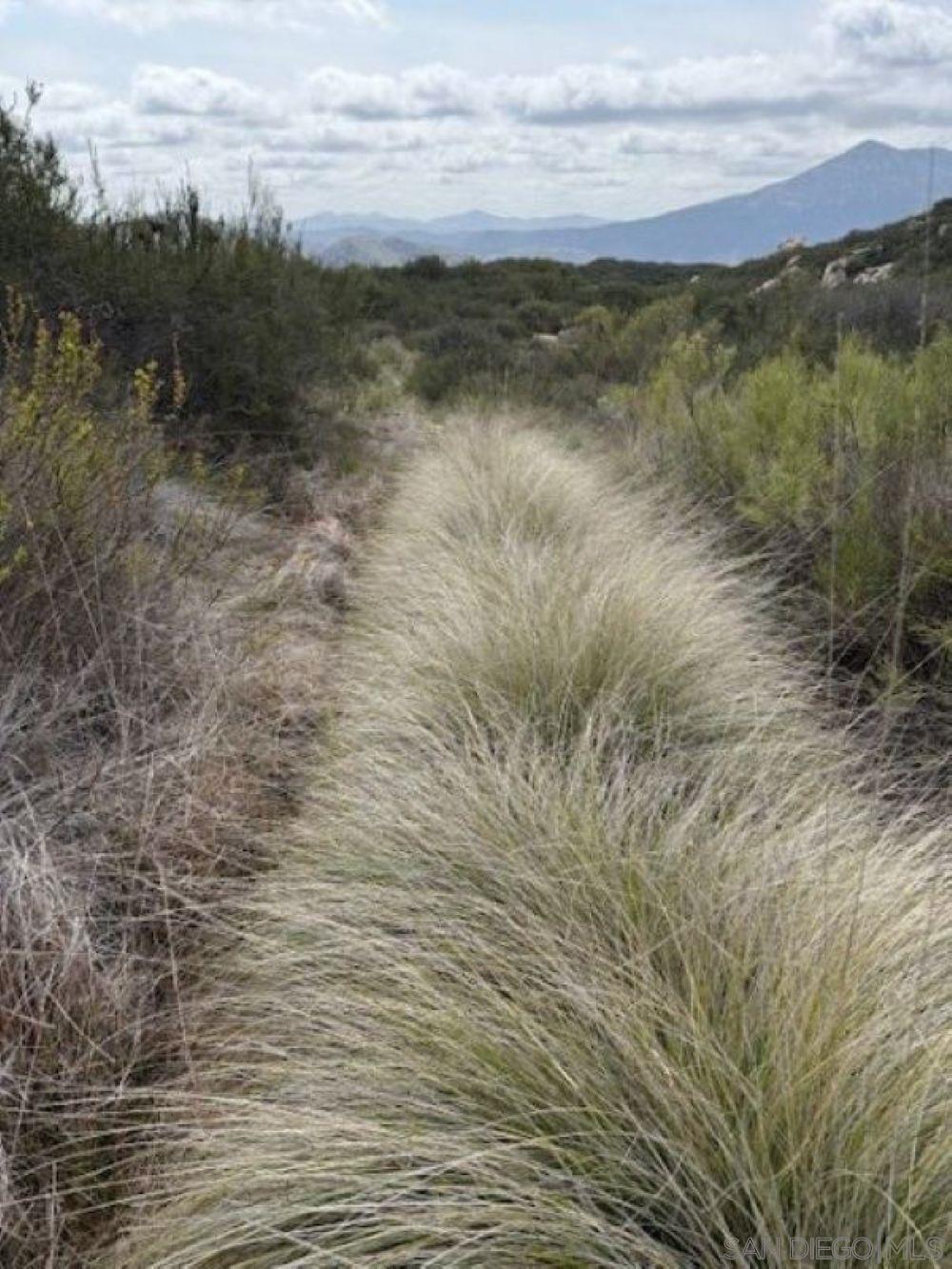 Detail Gallery Image 18 of 18 For , Jamul,  CA 91935 - – Beds | – Baths