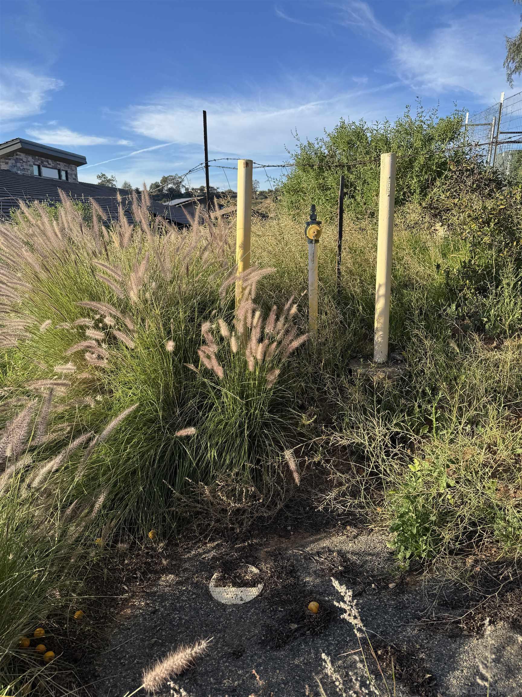 Front Image Thumbnail for SD260007424