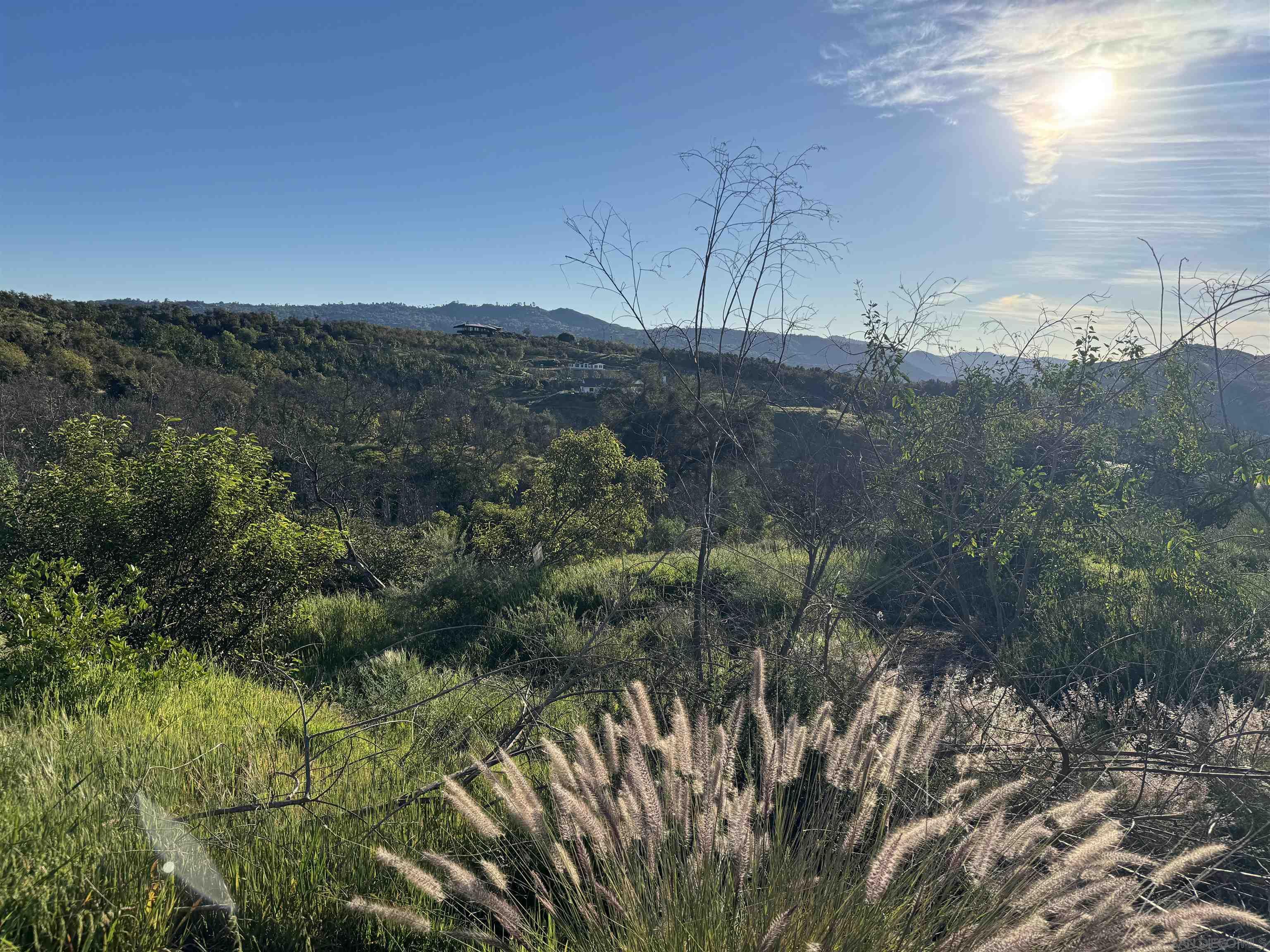 Detail Gallery Image 2 of 10 For , Valley Center,  CA 92082 - – Beds | – Baths