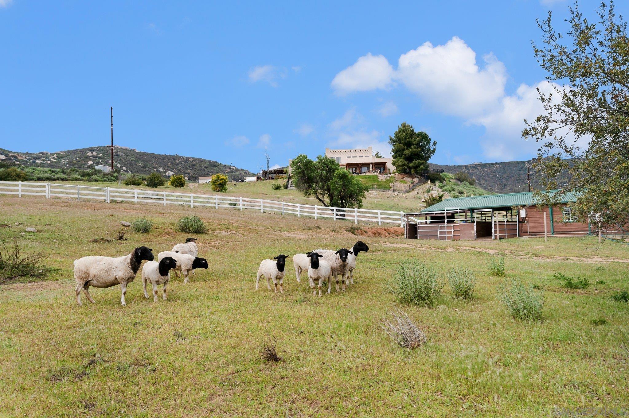 Detail Gallery Image 51 of 71 For 17287  Oak Hollow Road, Ramona,  CA 92065 - 5 Beds | 3/1 Baths