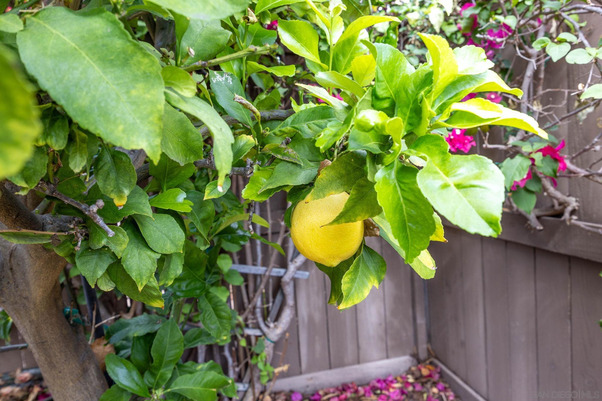 Detail Gallery Image 20 of 36 For 7957 Auberge  Circle, San Diego,  CA 92127 - 3 Beds | 2/1 Baths