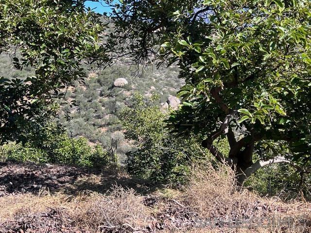 Detail Gallery Image 19 of 24 For , Valley Center,  CA 92082 - – Beds | – Baths