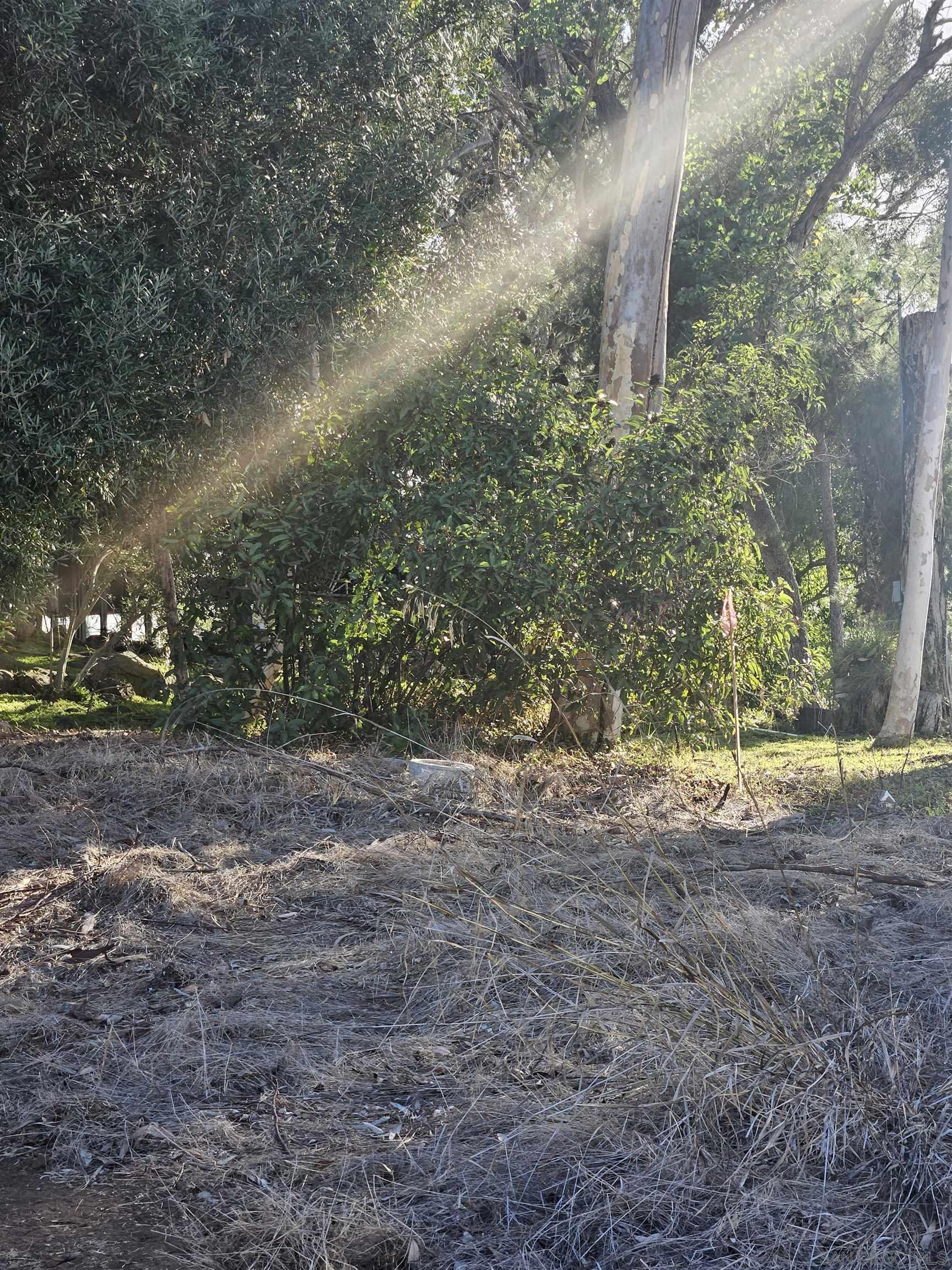 Detail Gallery Image 40 of 47 For , La Mesa,  CA 91941 - – Beds | – Baths