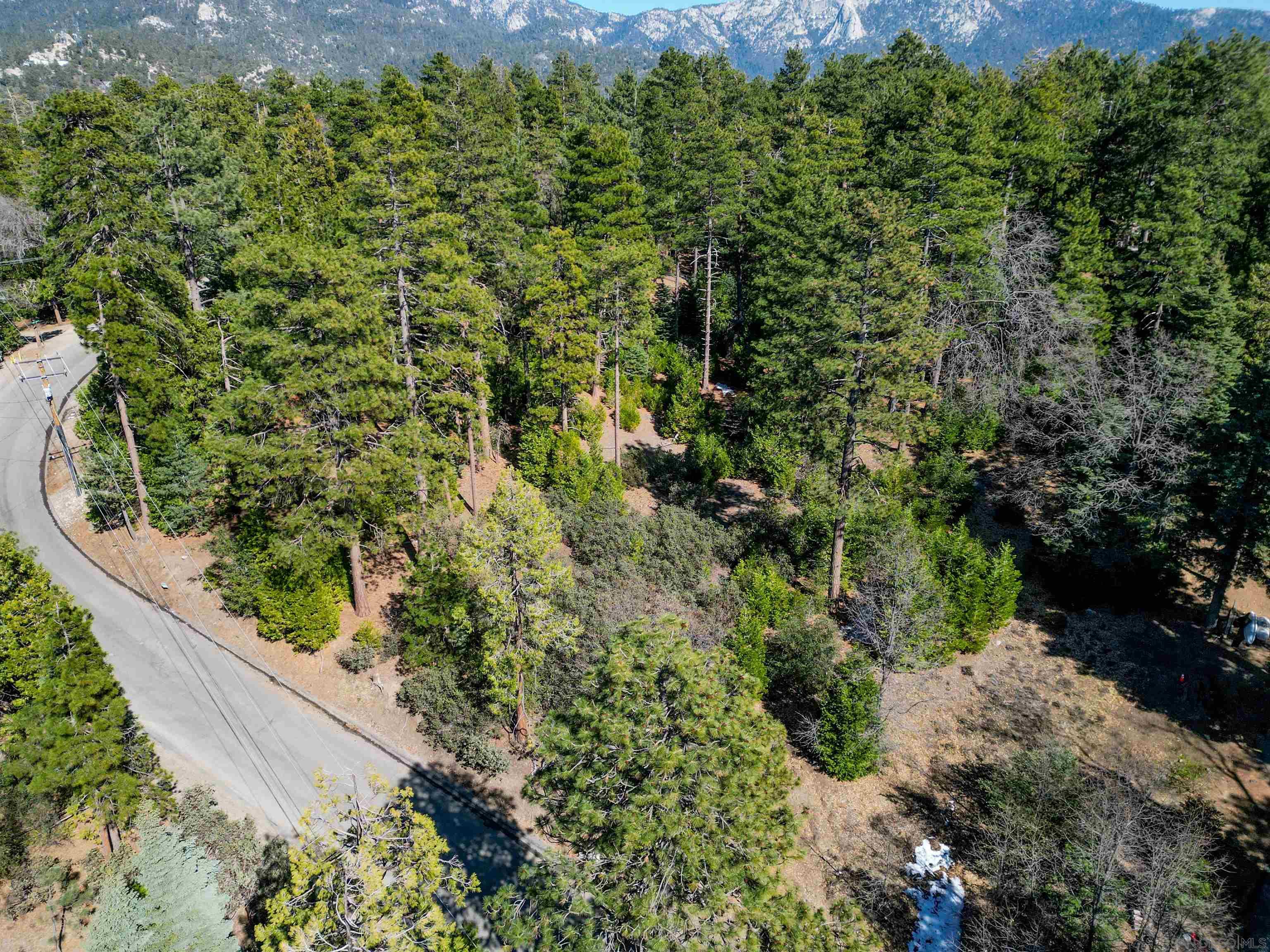 Detail Gallery Image 6 of 12 For , Idyllwild,  CA 92549 - – Beds | – Baths