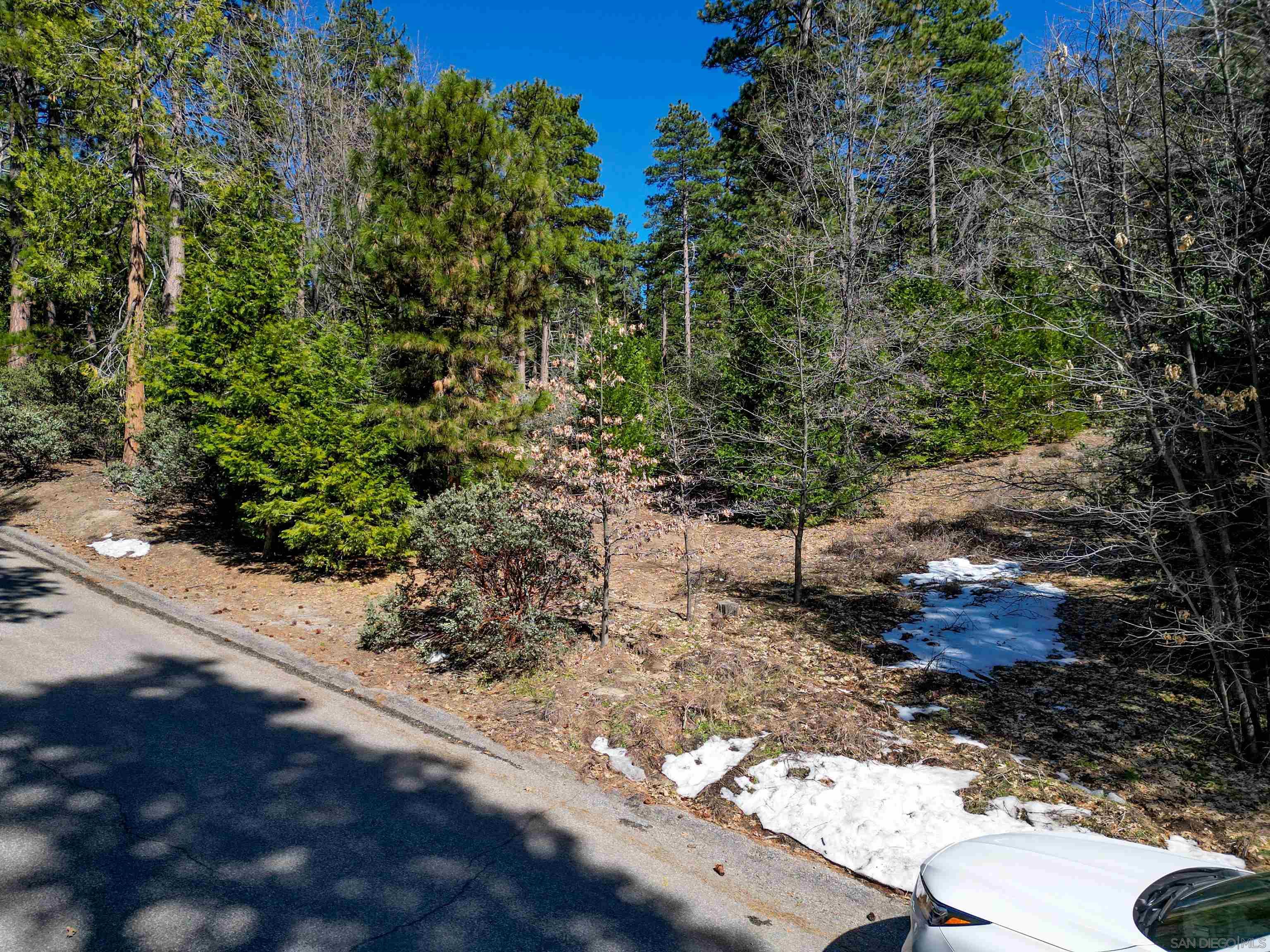 Detail Gallery Image 7 of 12 For , Idyllwild,  CA 92549 - – Beds | – Baths