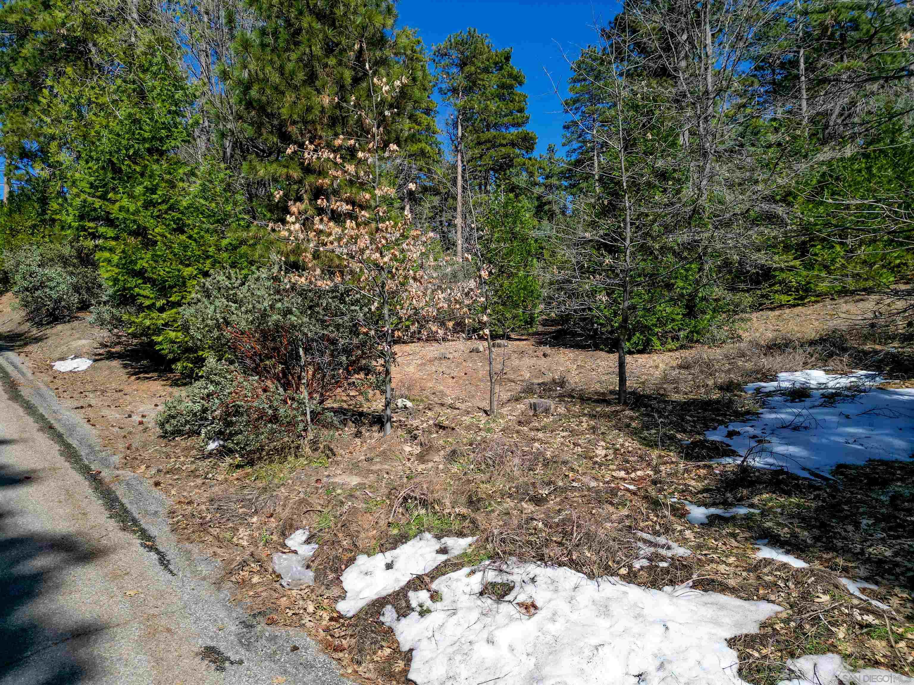 Detail Gallery Image 8 of 12 For , Idyllwild,  CA 92549 - – Beds | – Baths