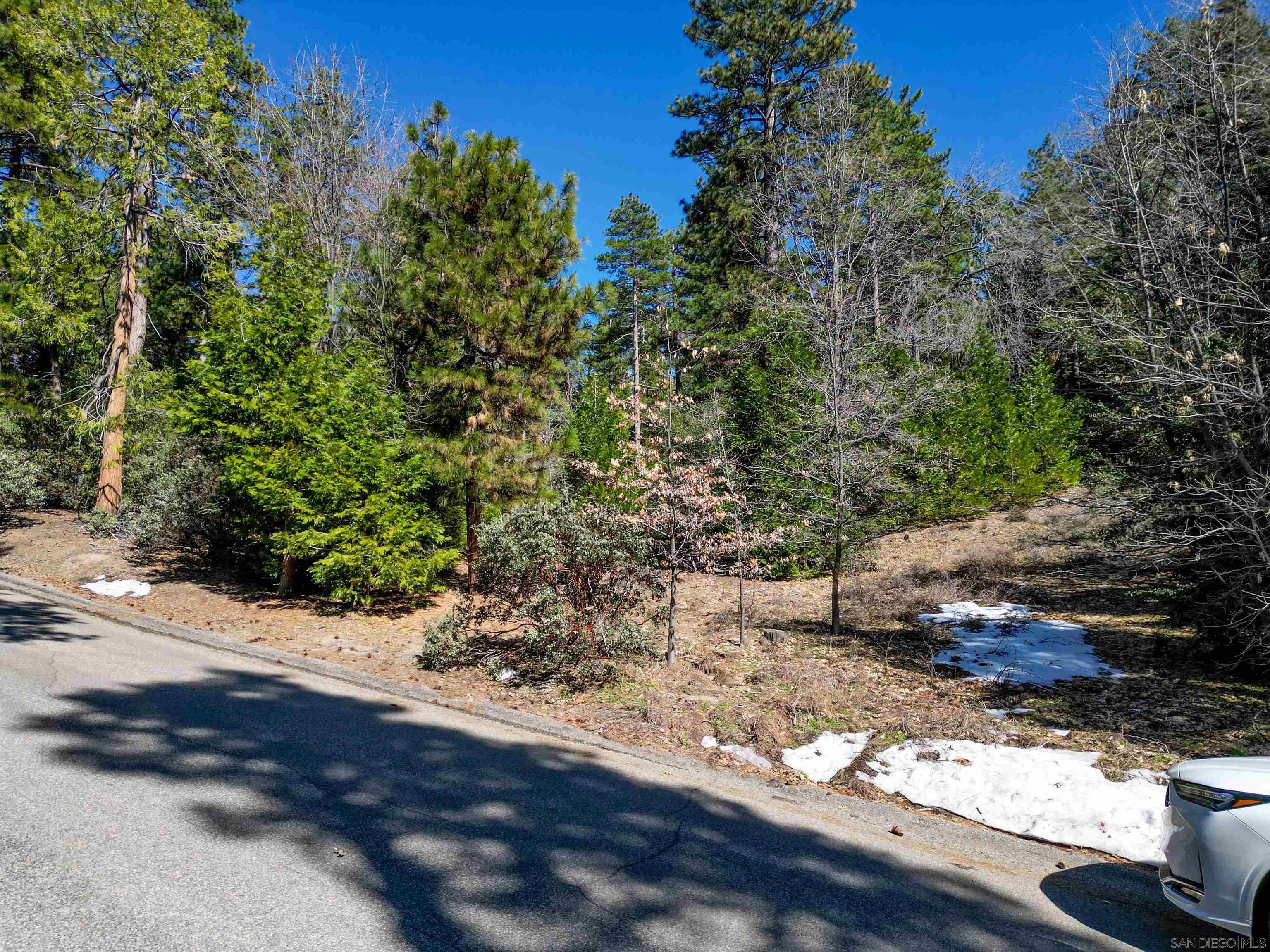 Detail Gallery Image 9 of 12 For , Idyllwild,  CA 92549 - – Beds | – Baths