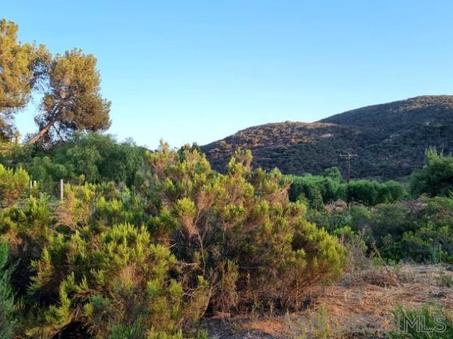 Detail Gallery Image 25 of 63 For 8209  Mesa, Santee,  CA 92071 - – Beds | – Baths