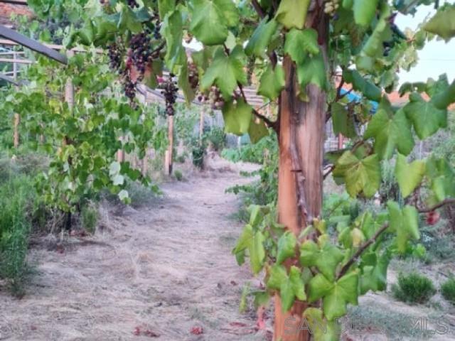 Detail Gallery Image 26 of 63 For 8209  Mesa, Santee,  CA 92071 - – Beds | – Baths