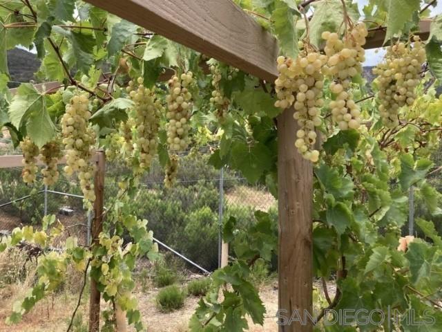 Detail Gallery Image 33 of 63 For 8209  Mesa, Santee,  CA 92071 - – Beds | – Baths