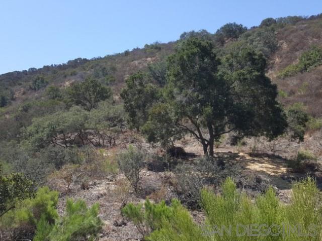 Detail Gallery Image 44 of 63 For 8209  Mesa, Santee,  CA 92071 - – Beds | – Baths