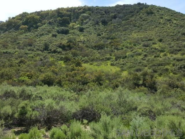 Detail Gallery Image 50 of 63 For 8209  Mesa, Santee,  CA 92071 - – Beds | – Baths