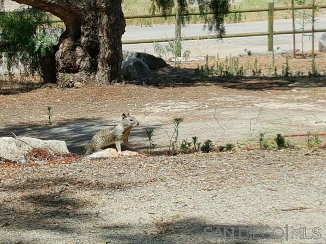 Detail Gallery Image 54 of 63 For 8209  Mesa, Santee,  CA 92071 - – Beds | – Baths