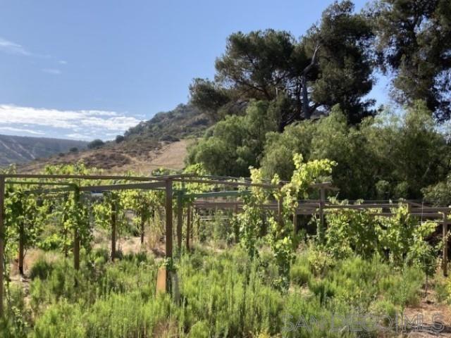 Detail Gallery Image 60 of 63 For 8209  Mesa, Santee,  CA 92071 - – Beds | – Baths