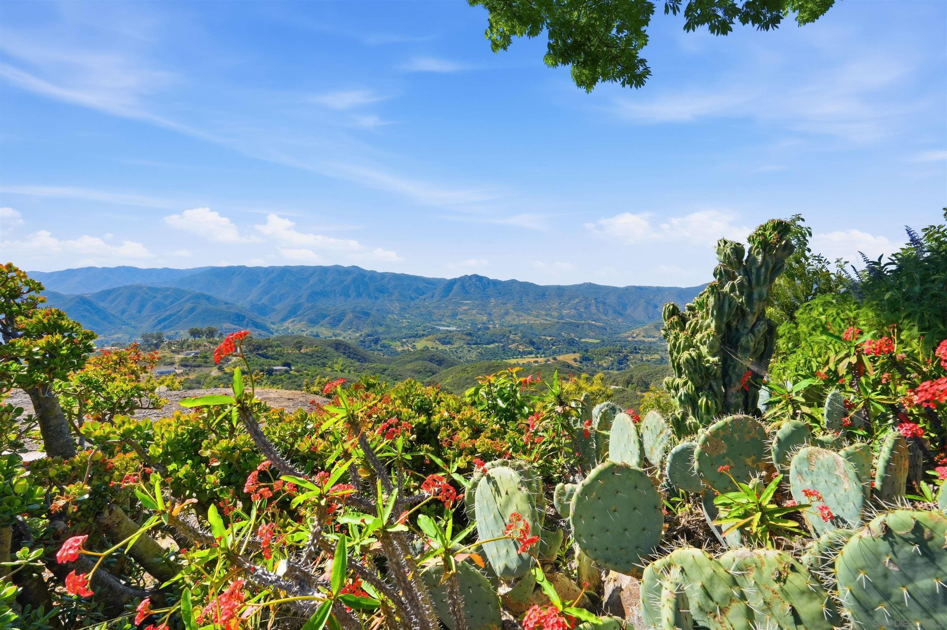 Front Image Thumbnail for SD260007568