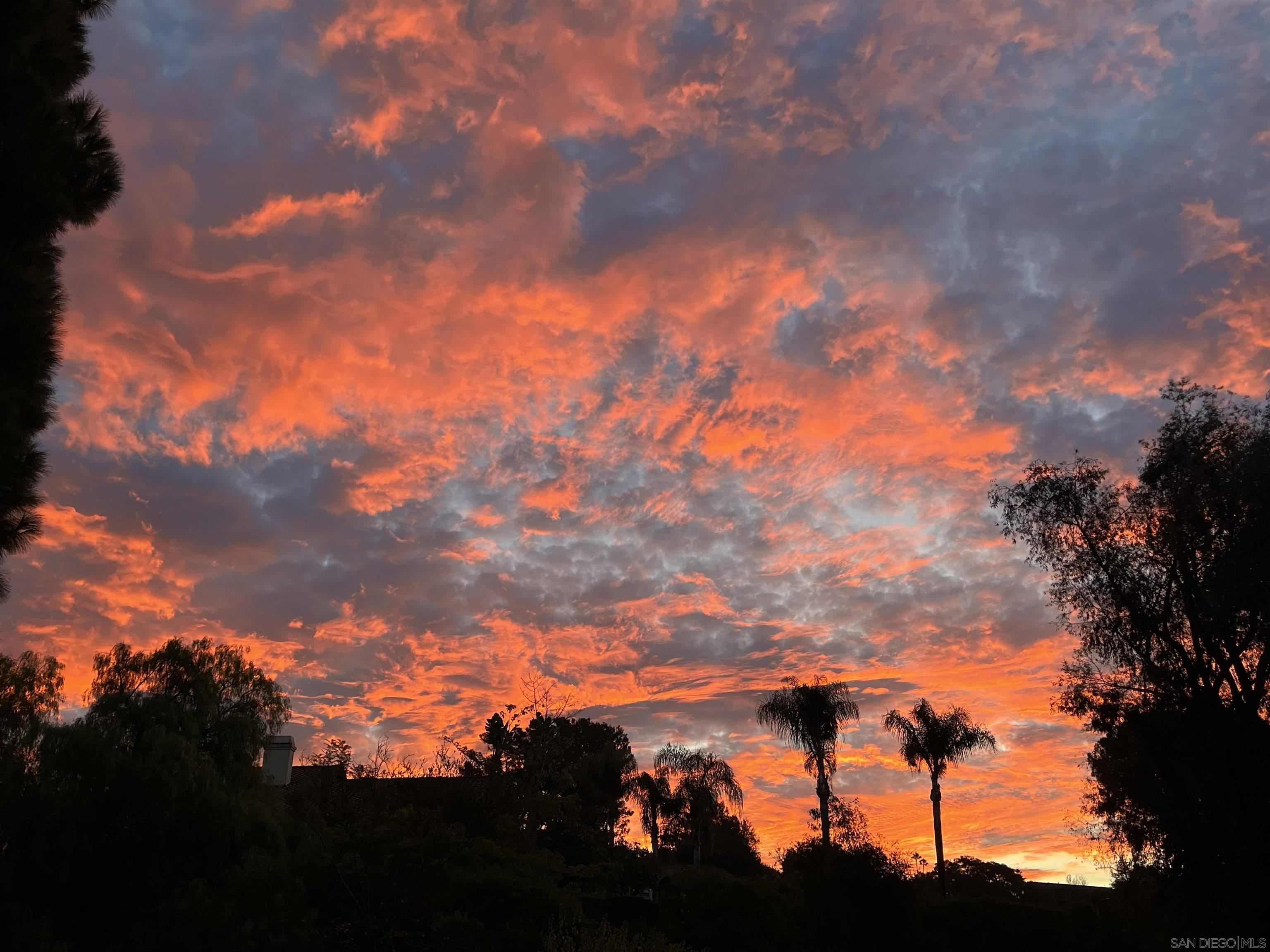 Detail Gallery Image 53 of 57 For 1282  Olive Ave, Fallbrook,  CA 92028 - 4 Beds | 3 Baths