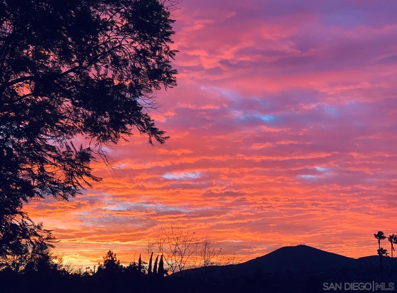 Detail Gallery Image 61 of 65 For 4413  Upland St, La Mesa,  CA 91941 - 4 Beds | 2/1 Baths