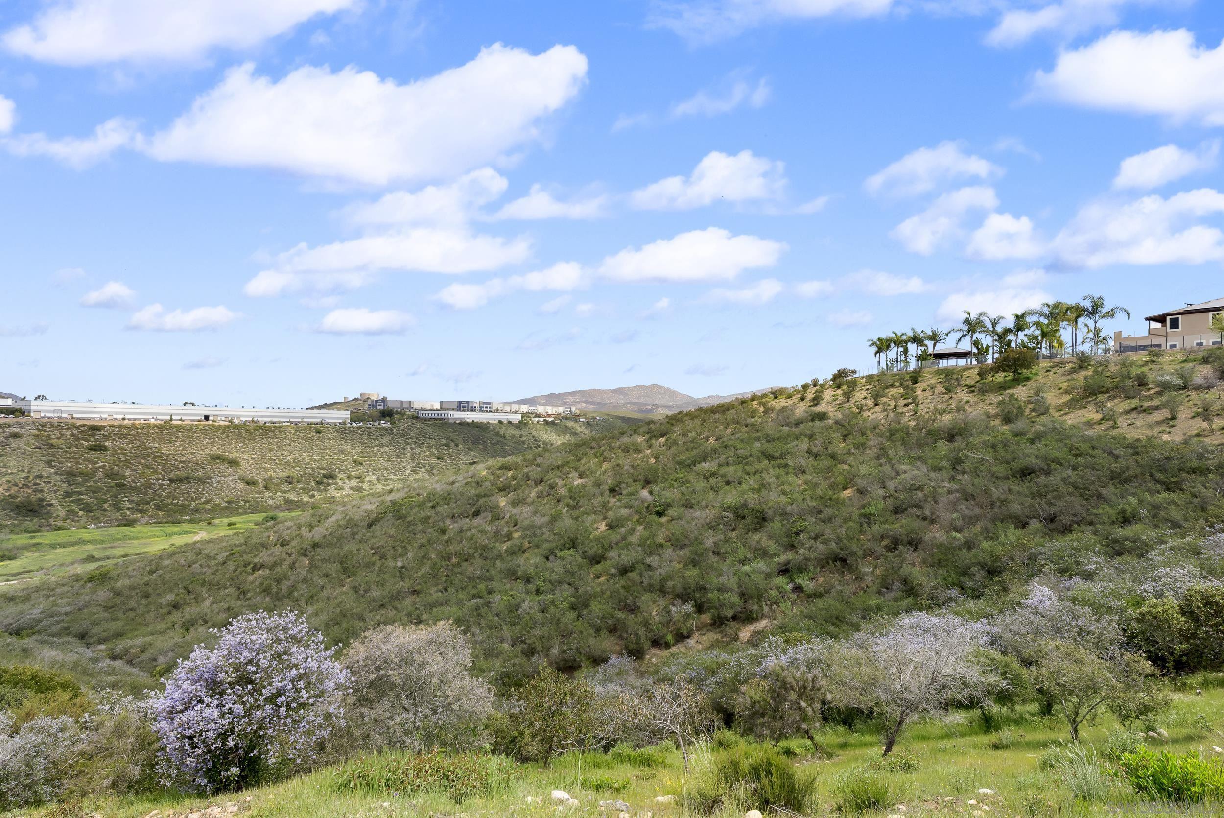 Detail Gallery Image 51 of 62 For 11753  Big Canyon Ln, San Diego,  CA 92131 - 5 Beds | 4/1 Baths