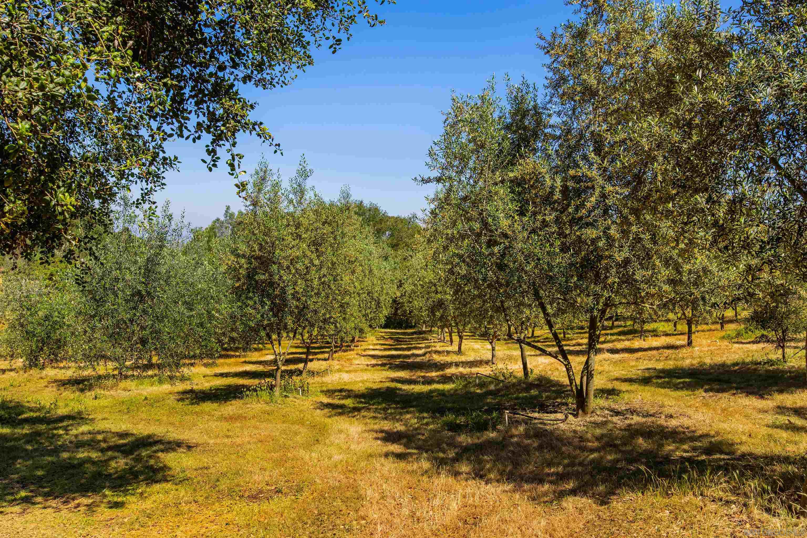 Detail Gallery Image 55 of 67 For 28808  Mountain Meadow, Escondido,  CA 92026 - 3 Beds | 2/1 Baths