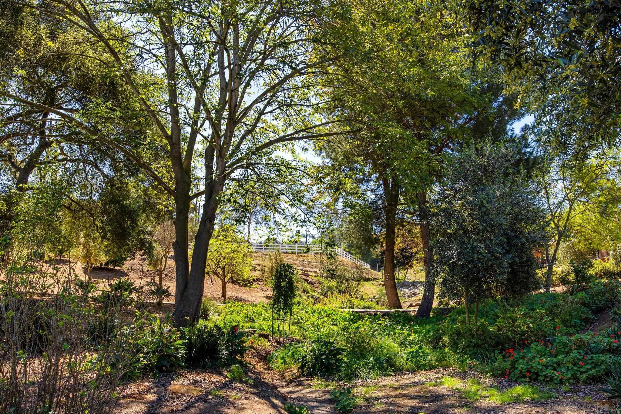 Detail Gallery Image 61 of 67 For 28808  Mountain Meadow, Escondido,  CA 92026 - 3 Beds | 2/1 Baths