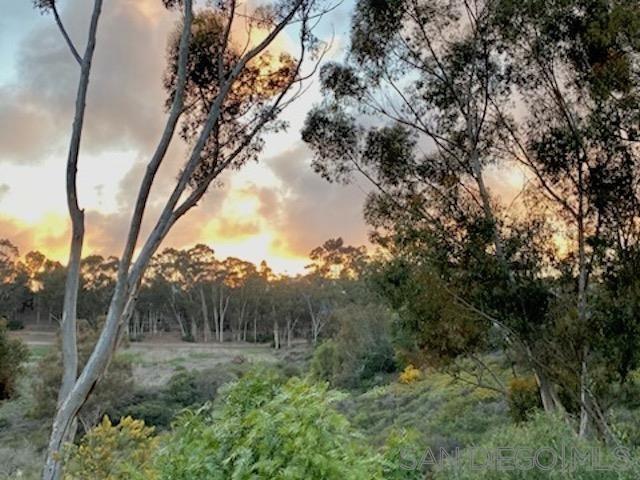 Detail Gallery Image 9 of 43 For 2835  Hillsboro Ct, Carlsbad,  CA 92010 - 3 Beds | 2 Baths