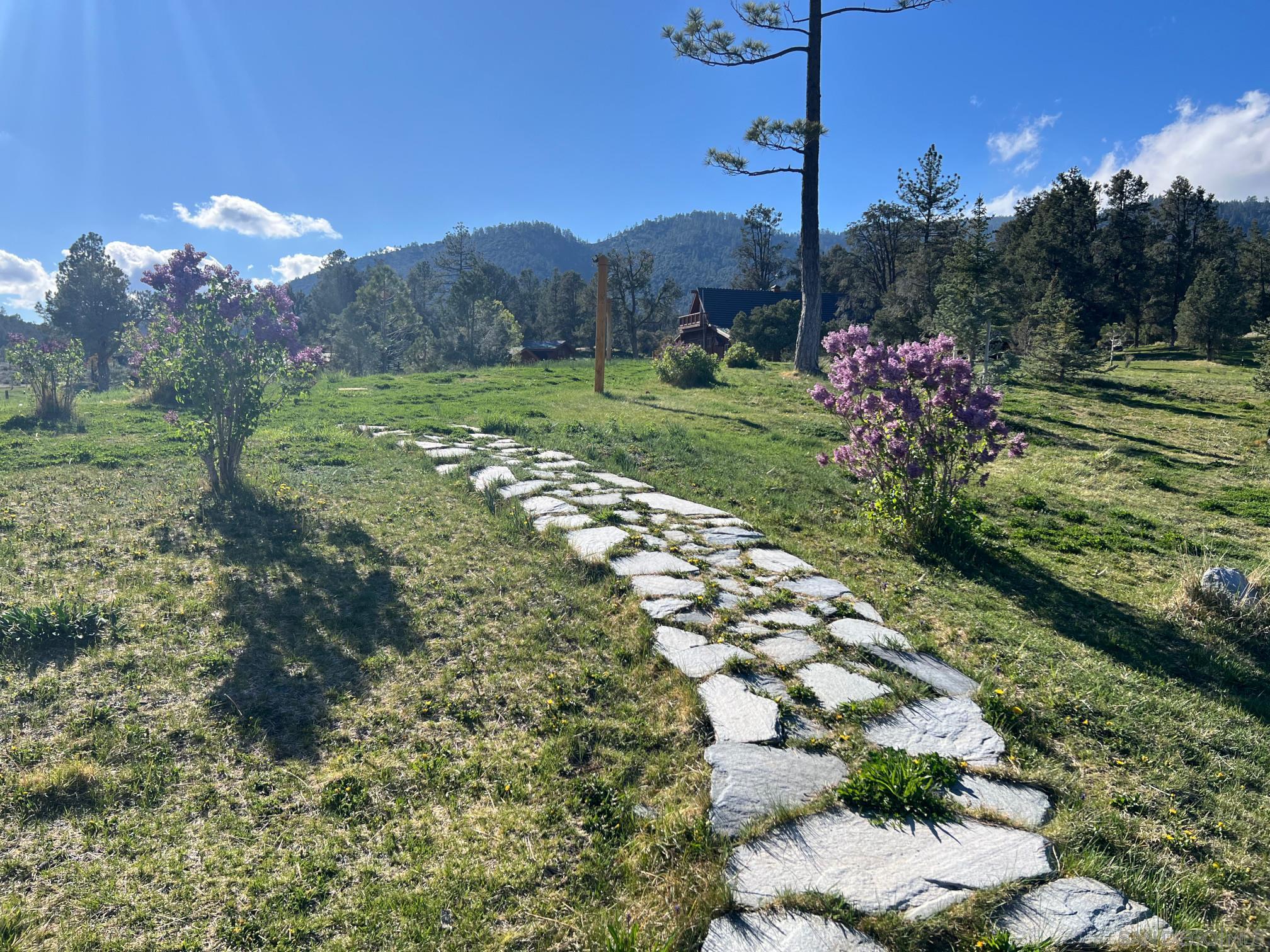 Detail Gallery Image 5 of 17 For , Frazier Park,  CA 93225 - 6 Beds | 4 Baths